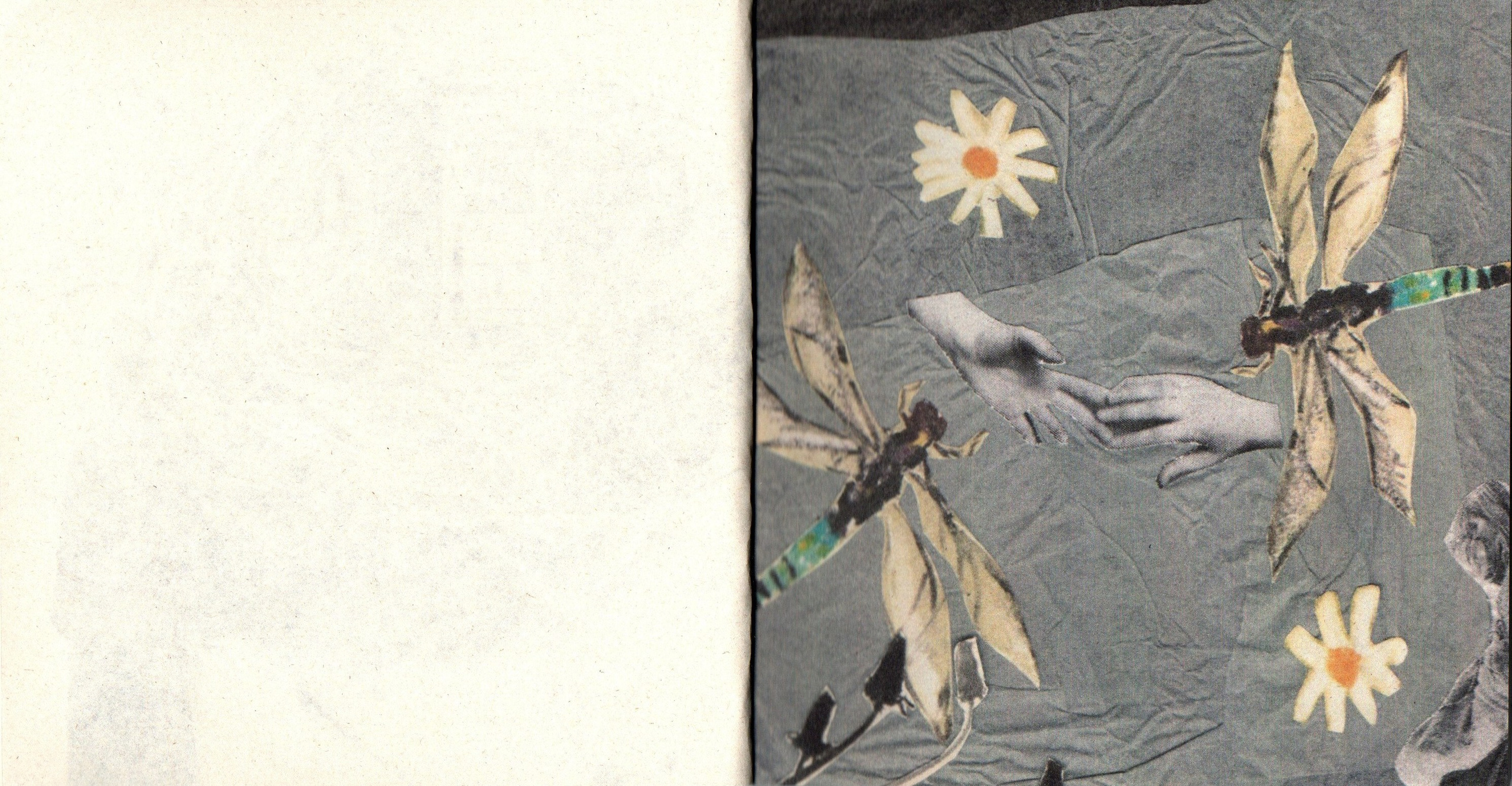 Хрупкий дом. Фотограф Анна Кирнос