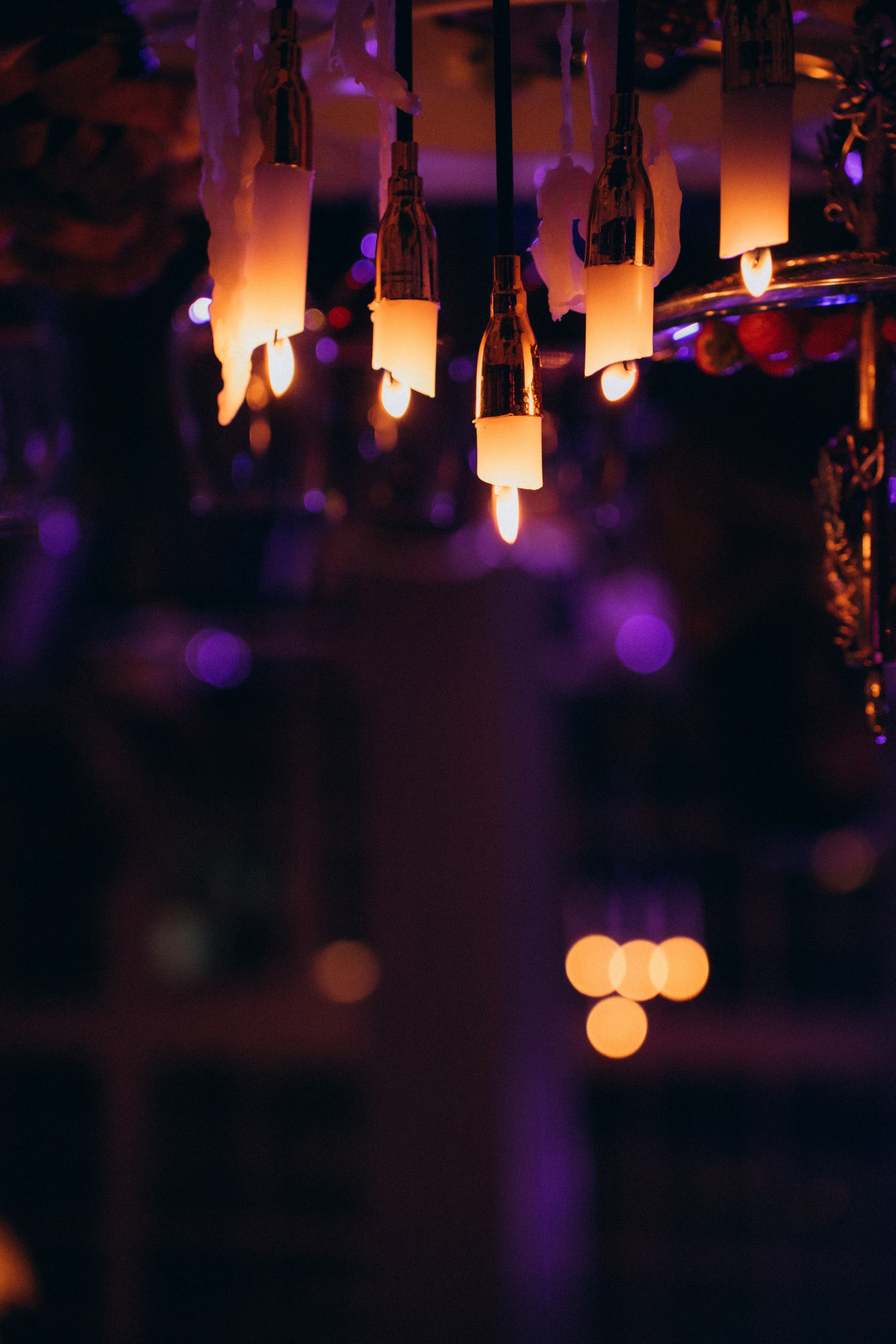 Roya. Фотограф Москва Селюкова Юлия