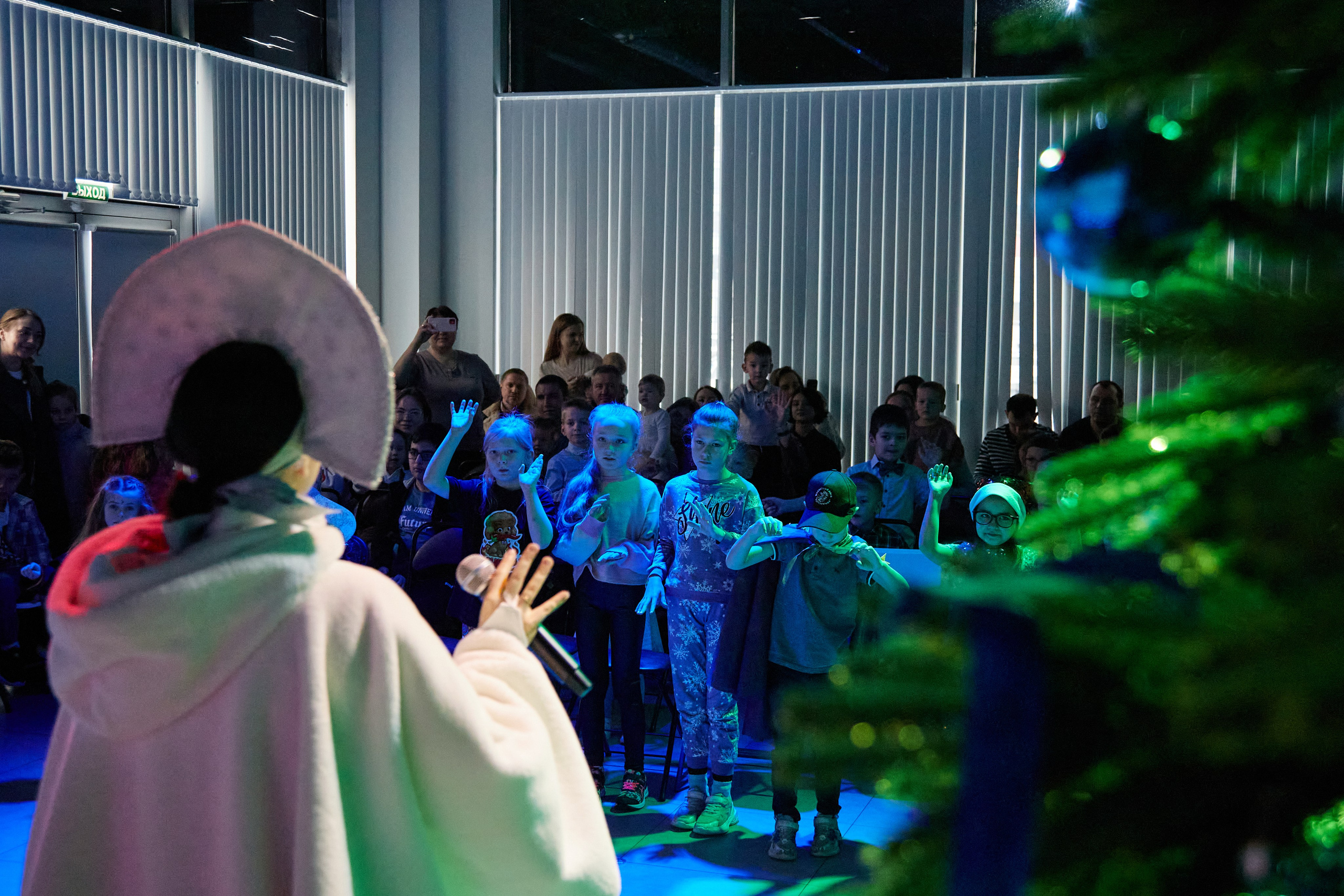 New Year. Фотограф Махлаева Виктория/Санкт-Петербург