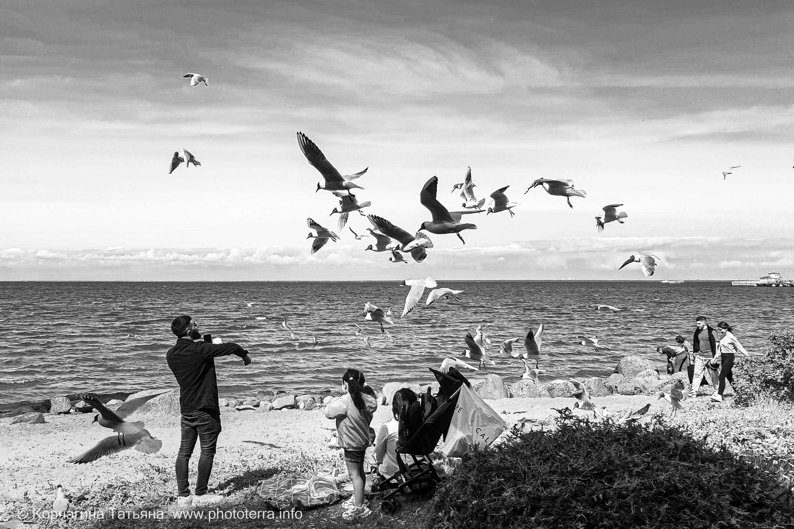 Татьяна Корчагина. Фотограф, художник. Обучение фотографии