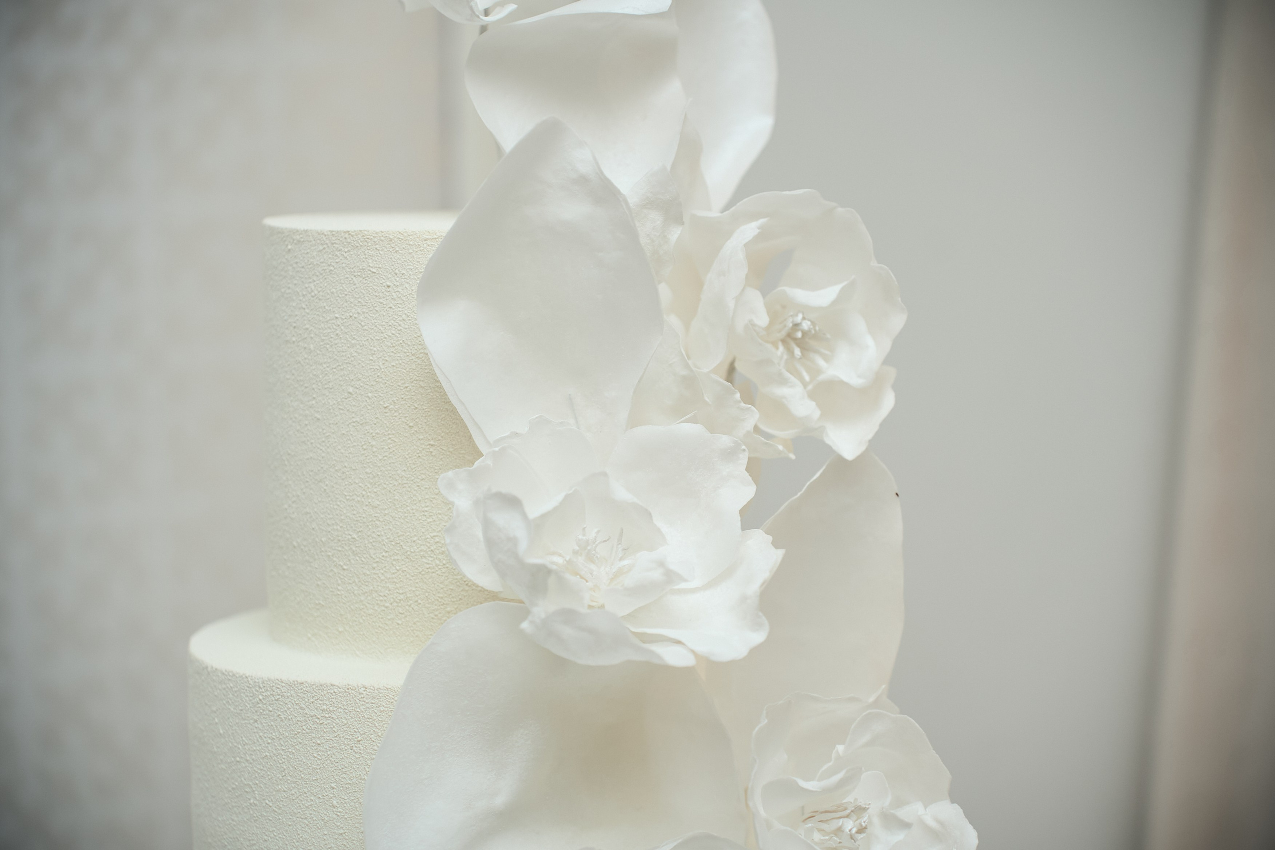 Дарина и Юрий. Главная