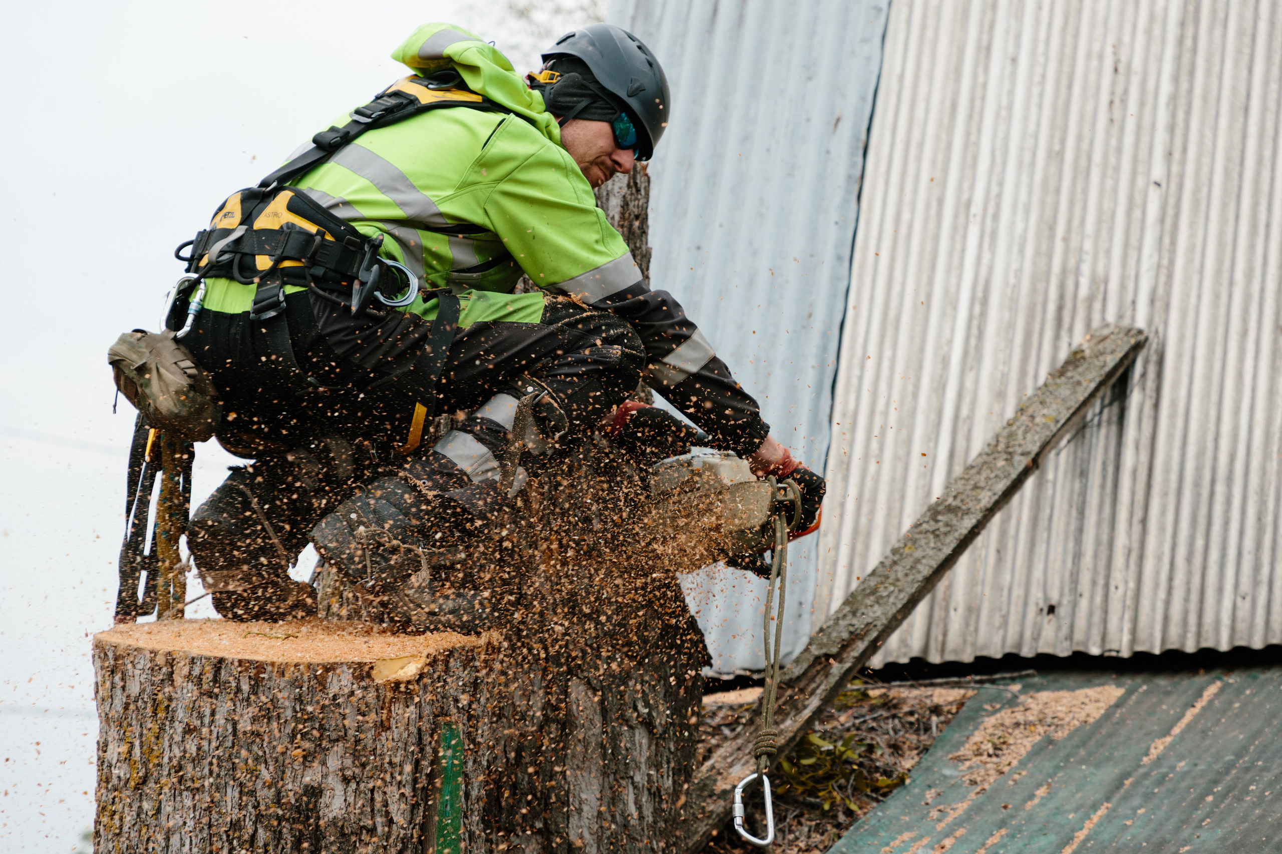 Арборист. Семейный фотограф в Хабаровске Катаева Ольга