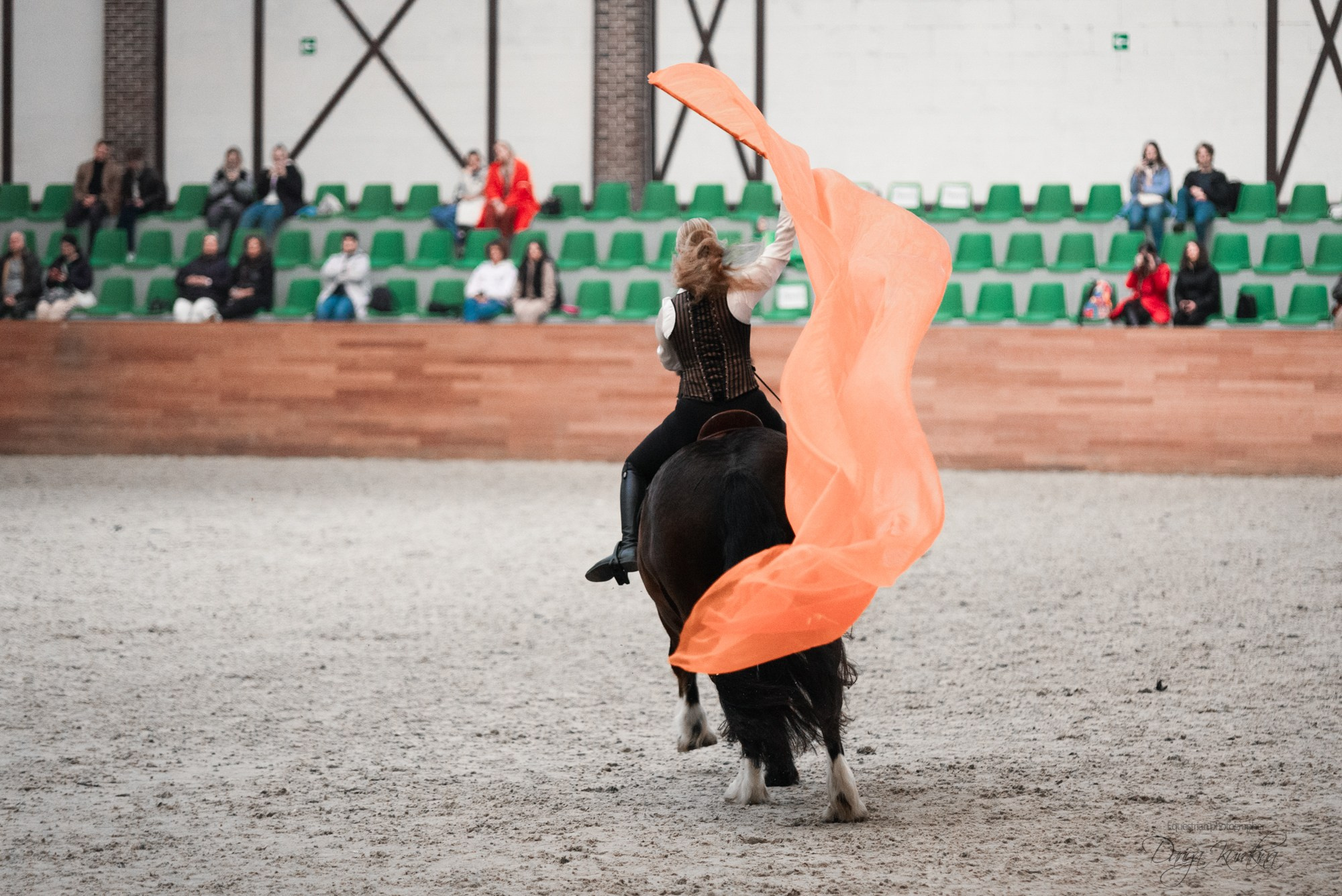 8-я международная выставка Конная Россия. Конный фотограф Куракина Дарья • Фотосессии с лошадьми