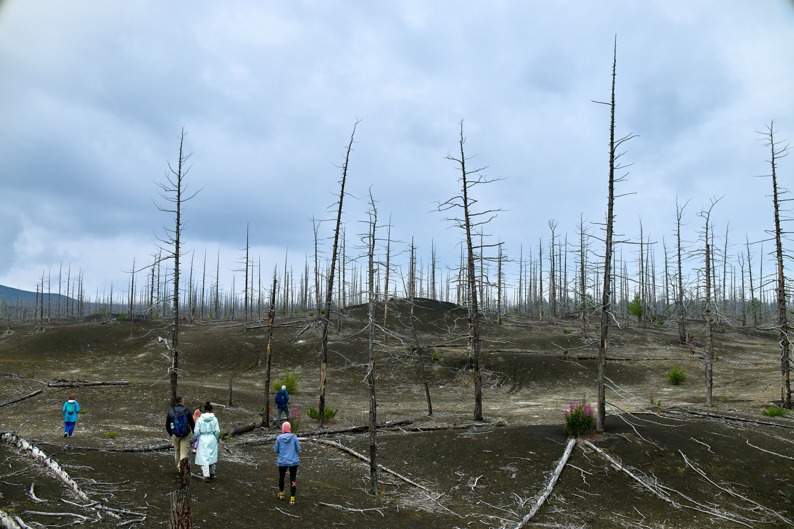 Камчатка. Travel-фотограф Ирина Милинцова