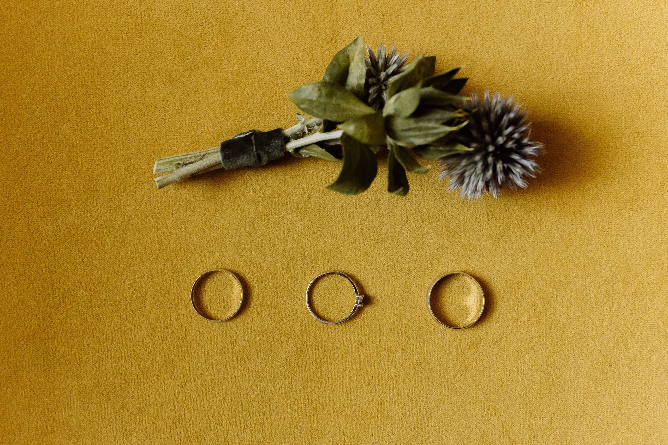 ЛЕКТОРИЙ. ЛЕНА И НИКИТА. Свадебный и индивидуальный фотограф в Челябинске Евгения Негодяева