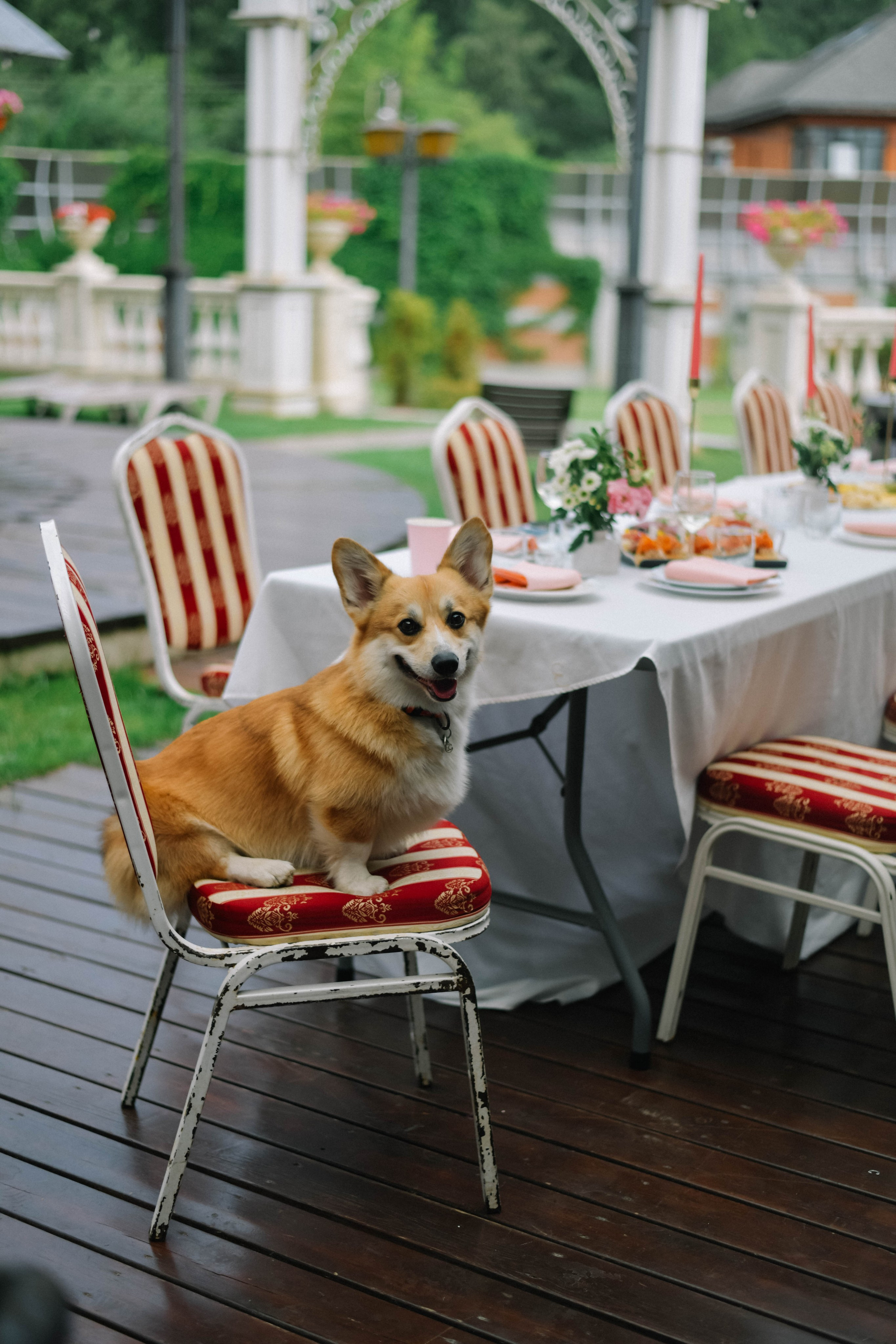 Сергей и Виктория 14.07.24. Фотограф Подольск
