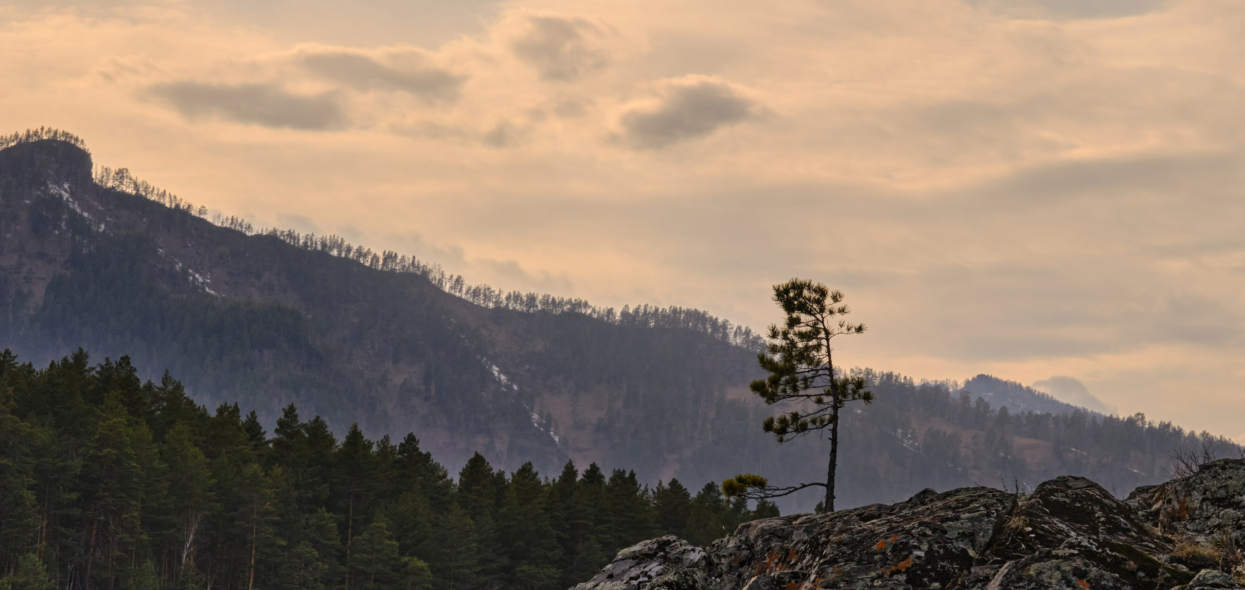 Алтай в ожидании лета. Shaltay Gallery