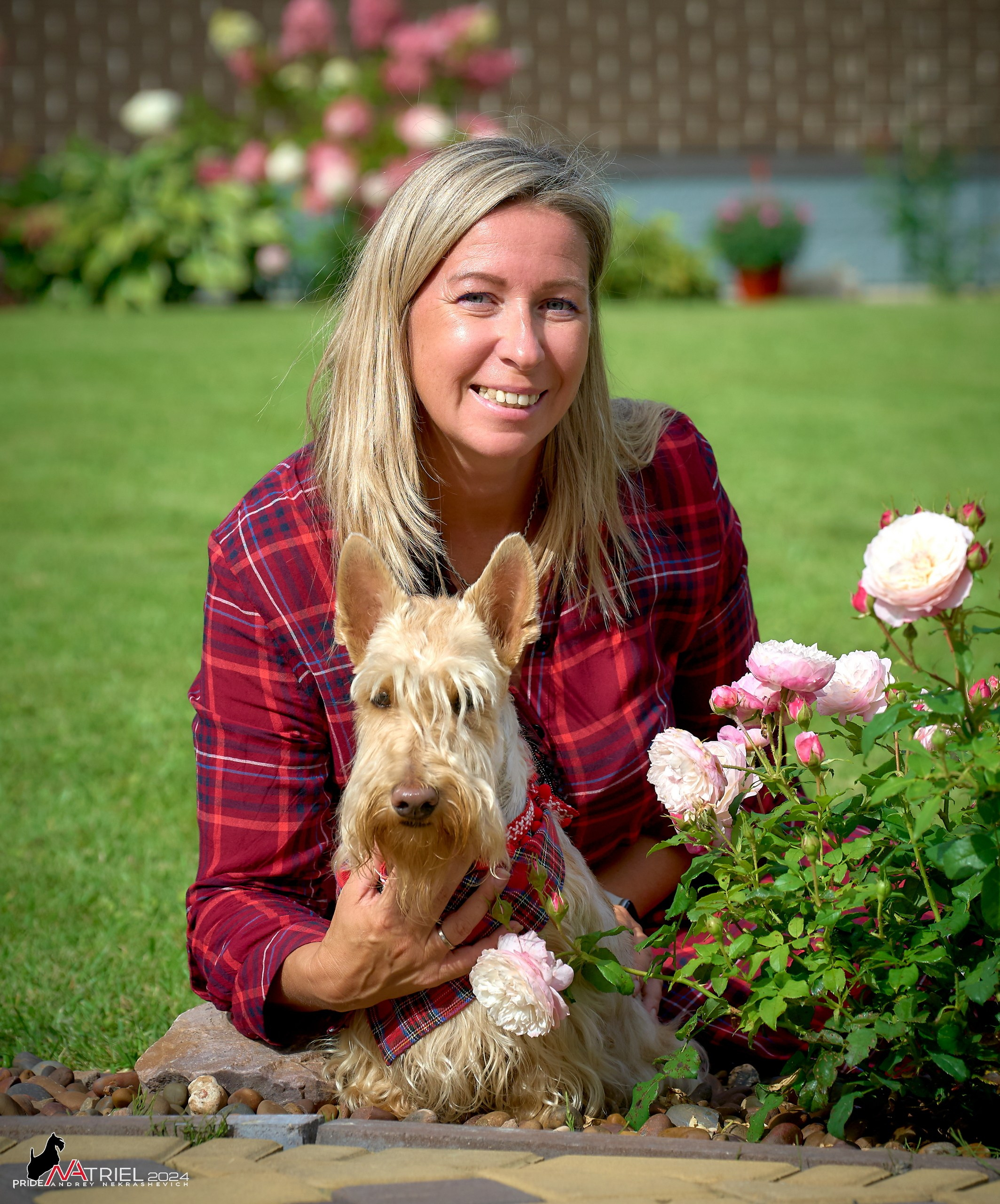 Скотчесемья «ИмпериалИти»