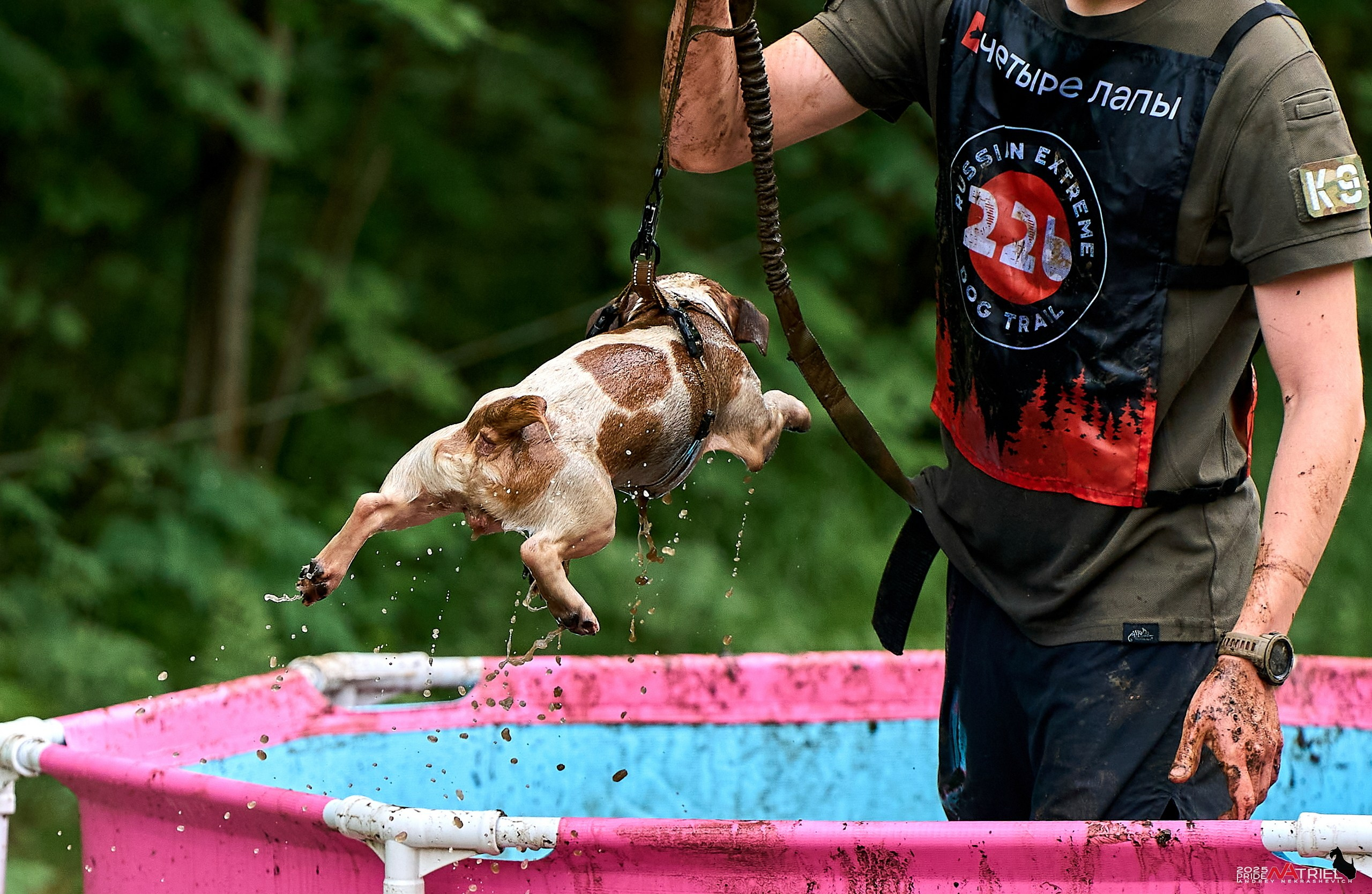 Russian Extreme Dog Trail — 2025