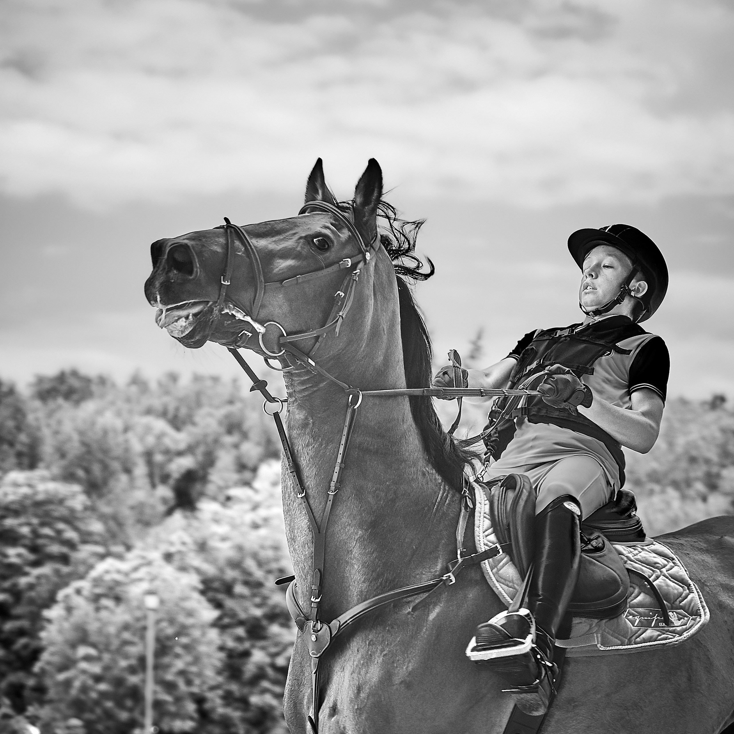 Соревнования на лошадях — галерея NATRIEL