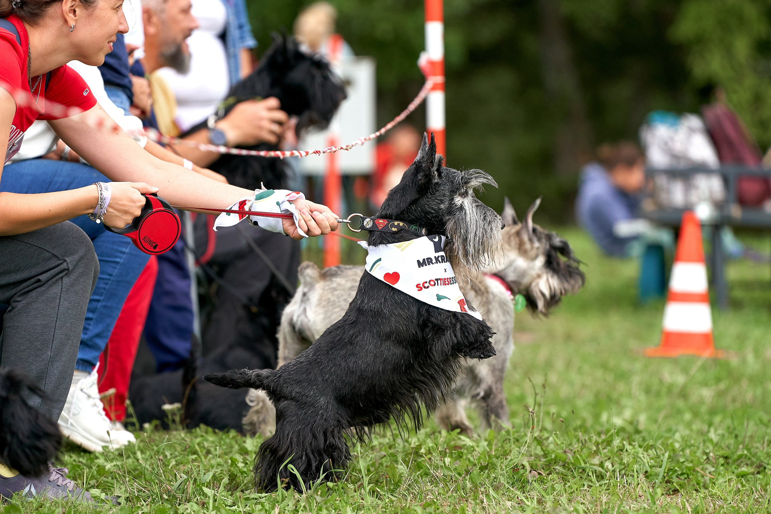 Мероприятия с собаками — галерея NATRIEL