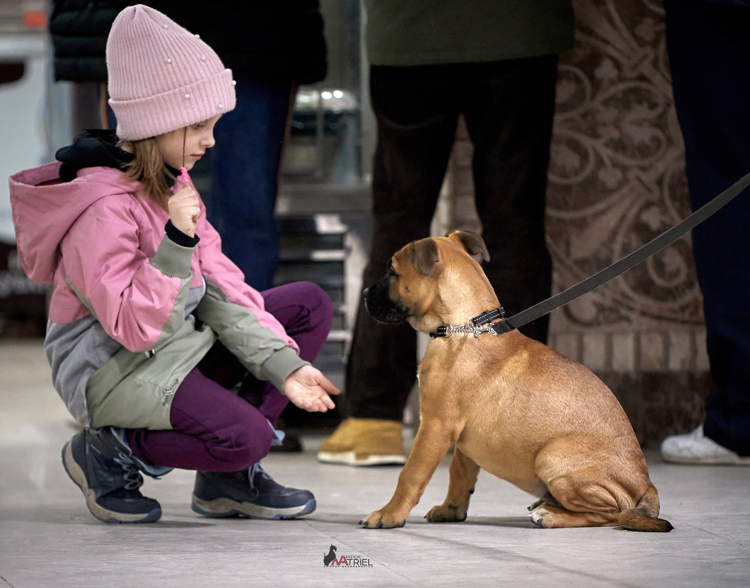 Картинки с выставки — галерея NATRIEL
