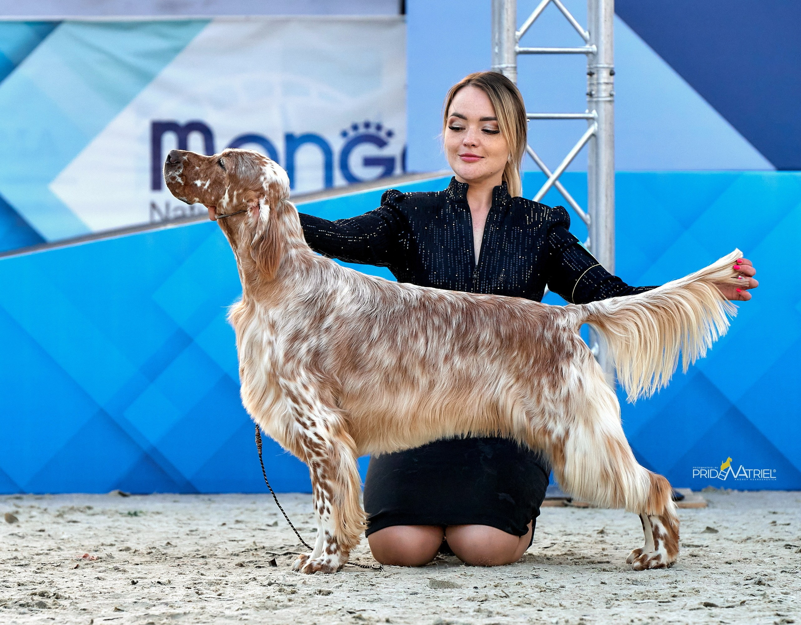 Работа в рингах — галерея NATRIEL