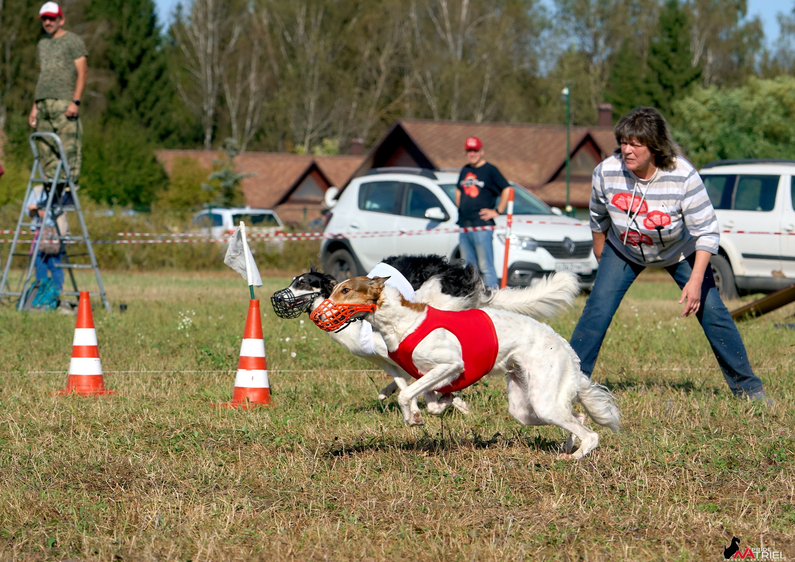 Съемка курсинг — галерея NATRIEL