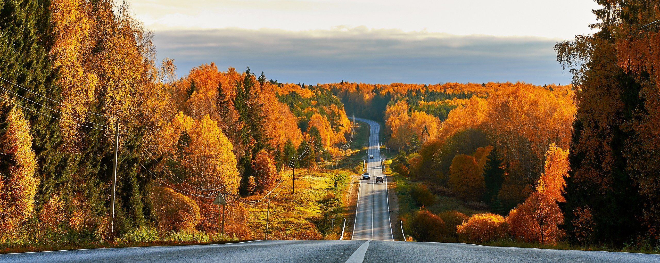 Пейзаж — галерея NATRIEL
