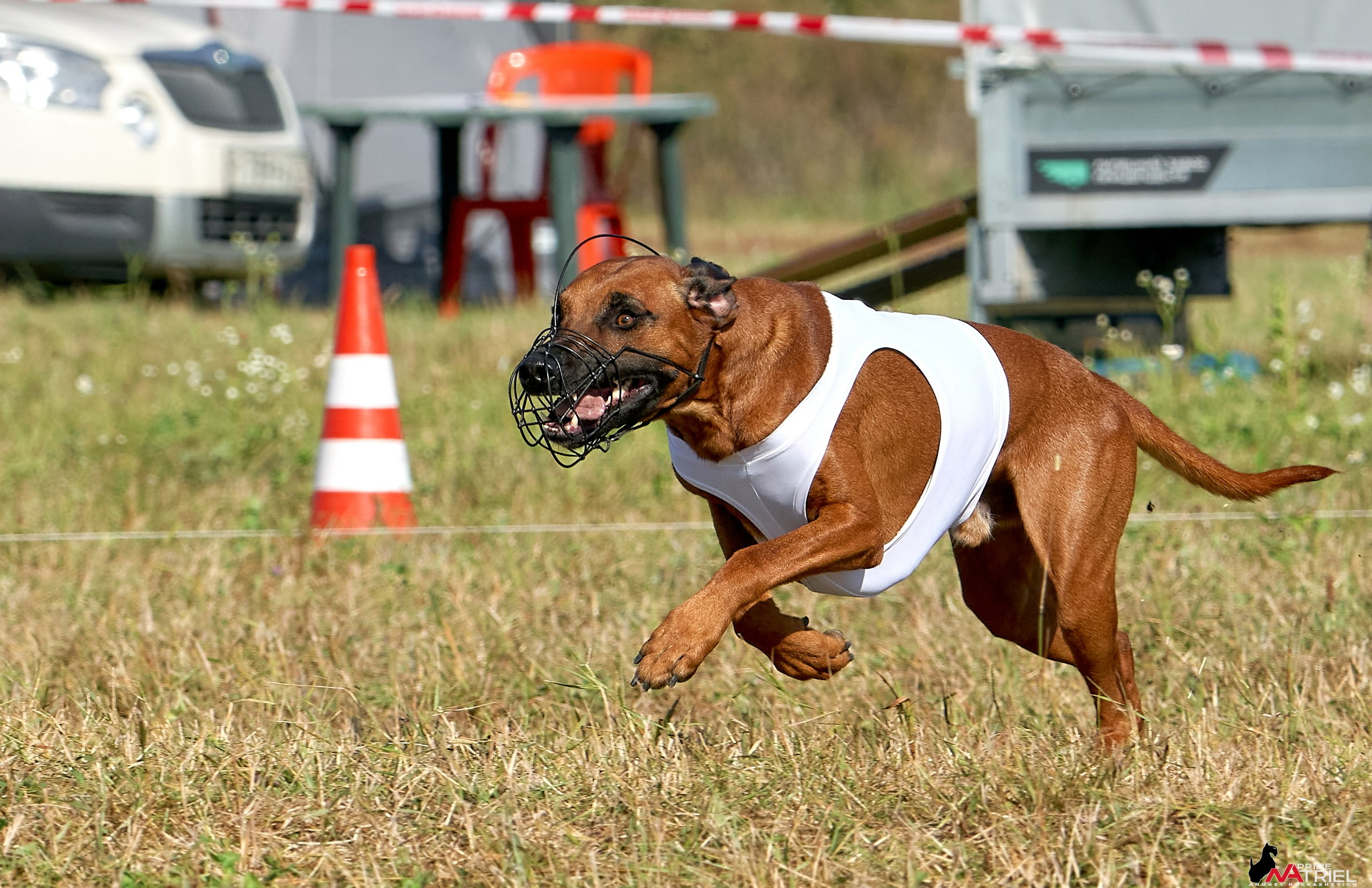 Съемка курсинг — галерея NATRIEL