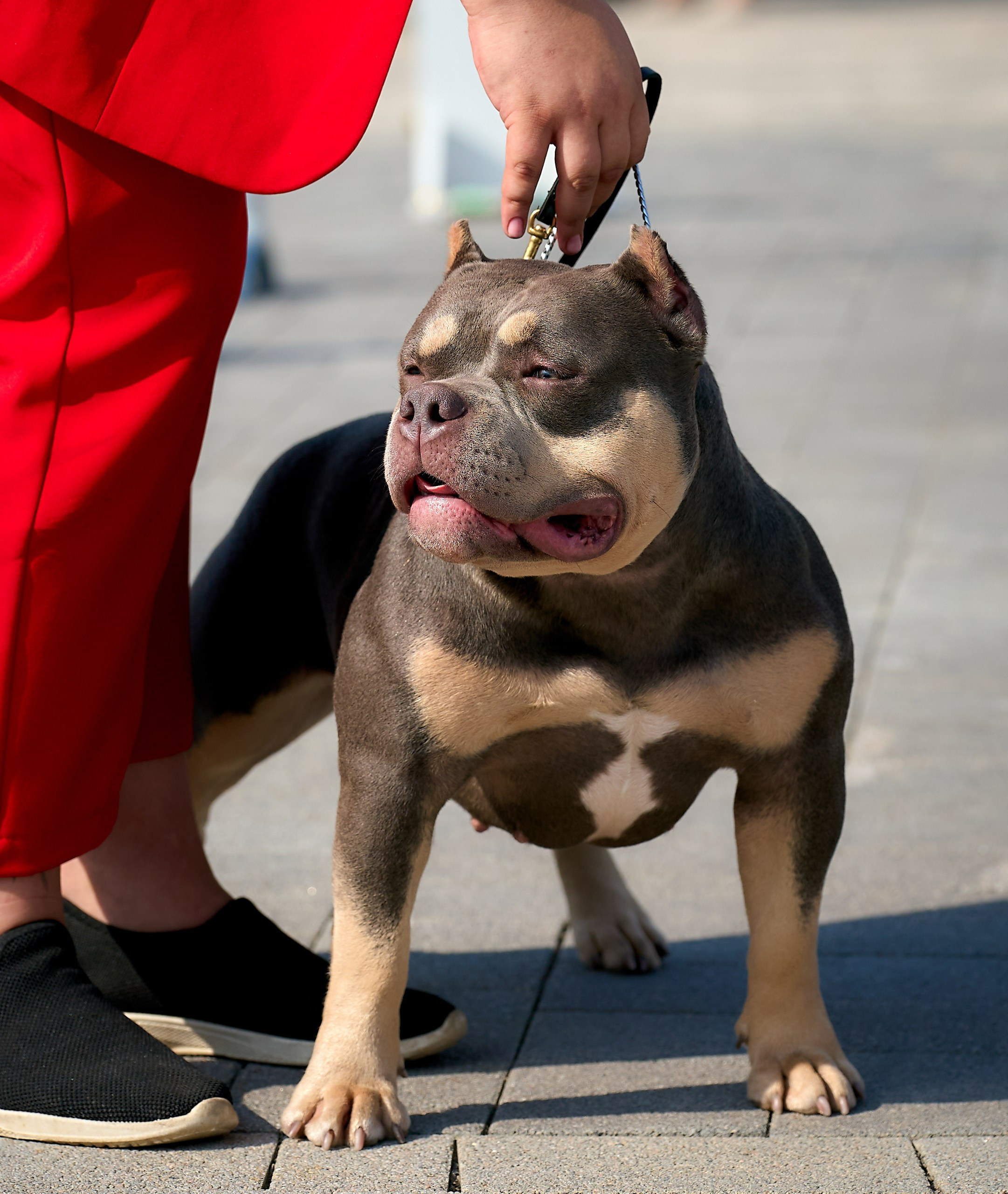 Съемка на выставке Ясенево