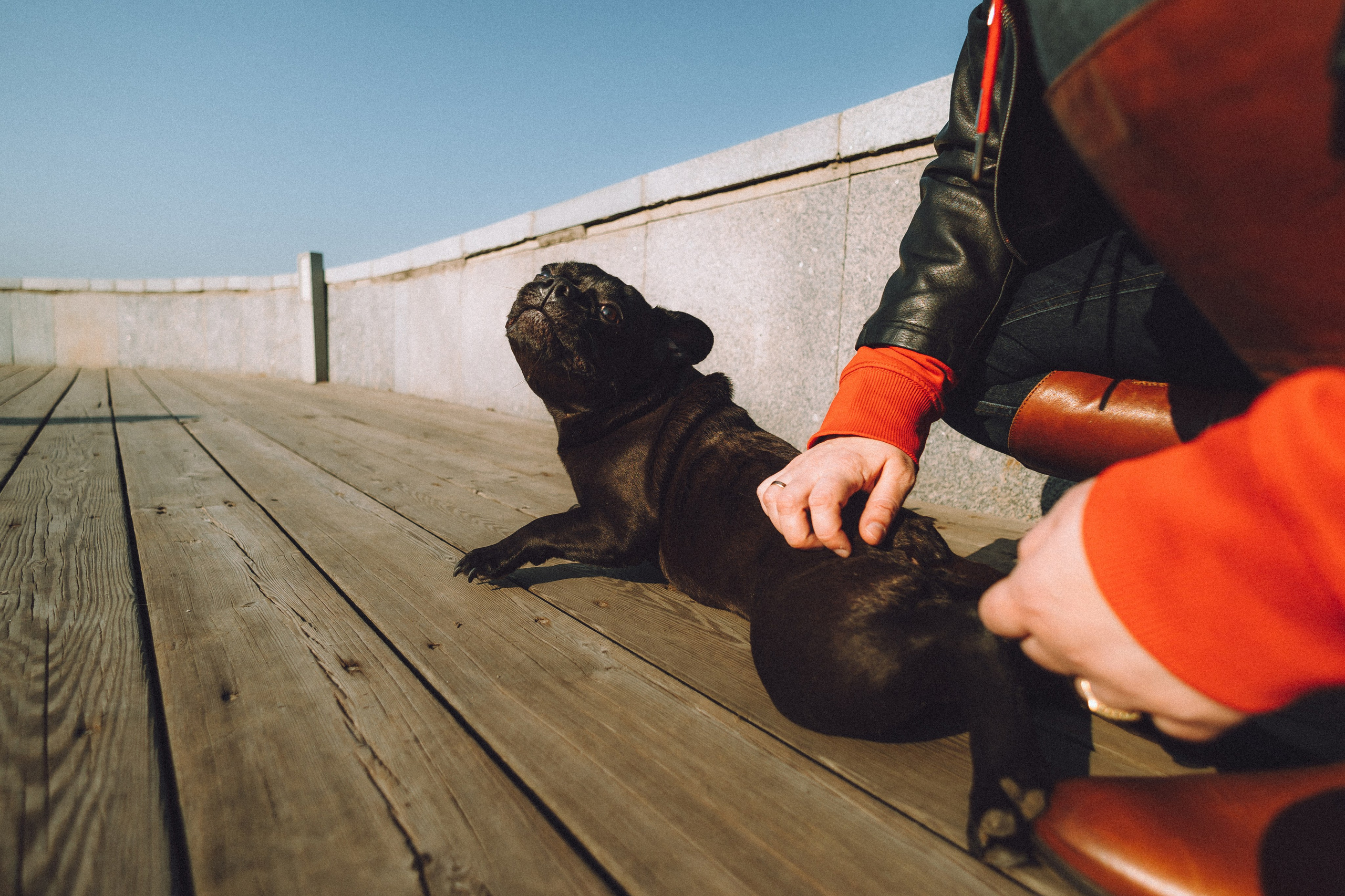 Саша, Дима и Шпуля