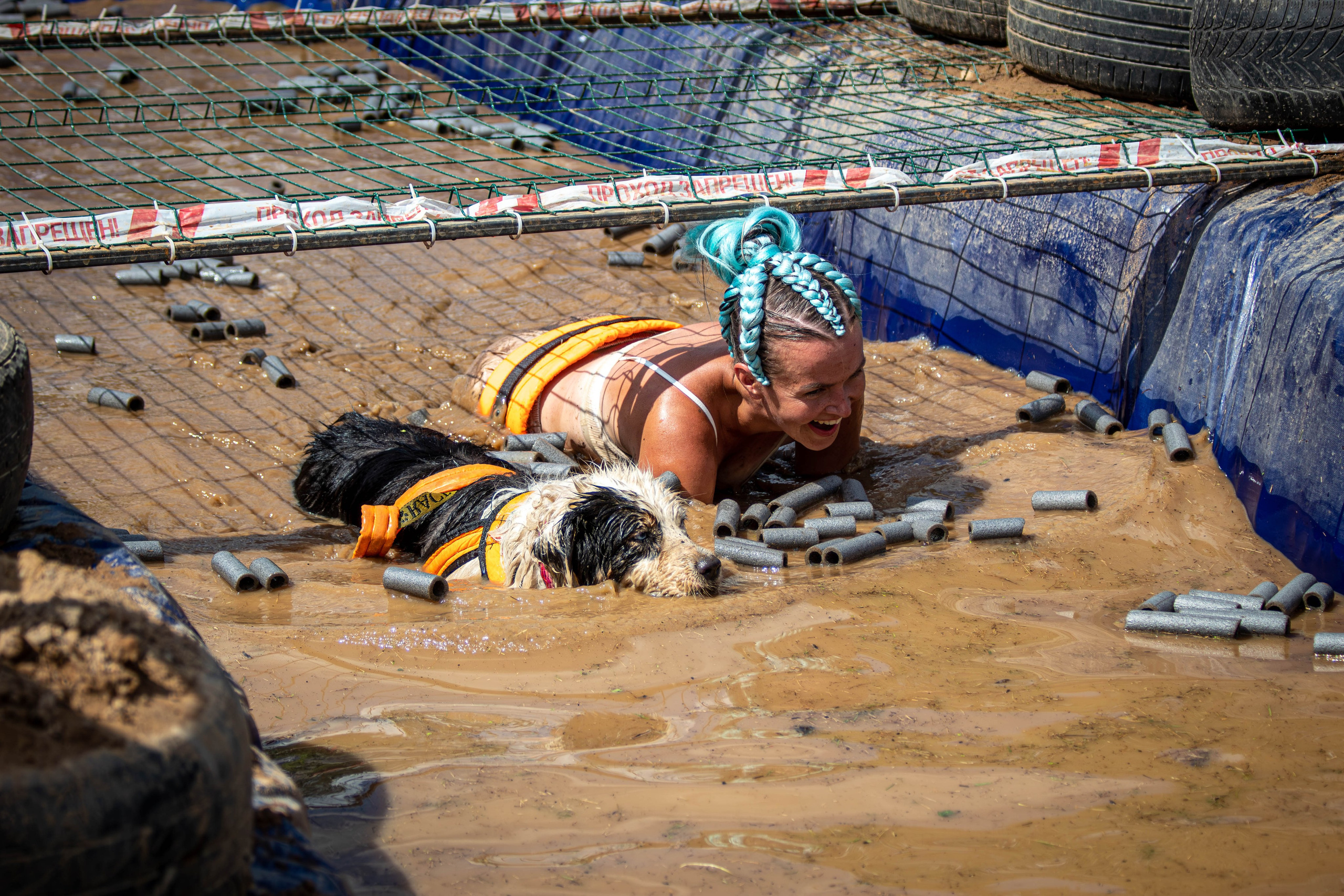 Хвостатый Драйв 2024. Фотограф анималист — Тула, Москва