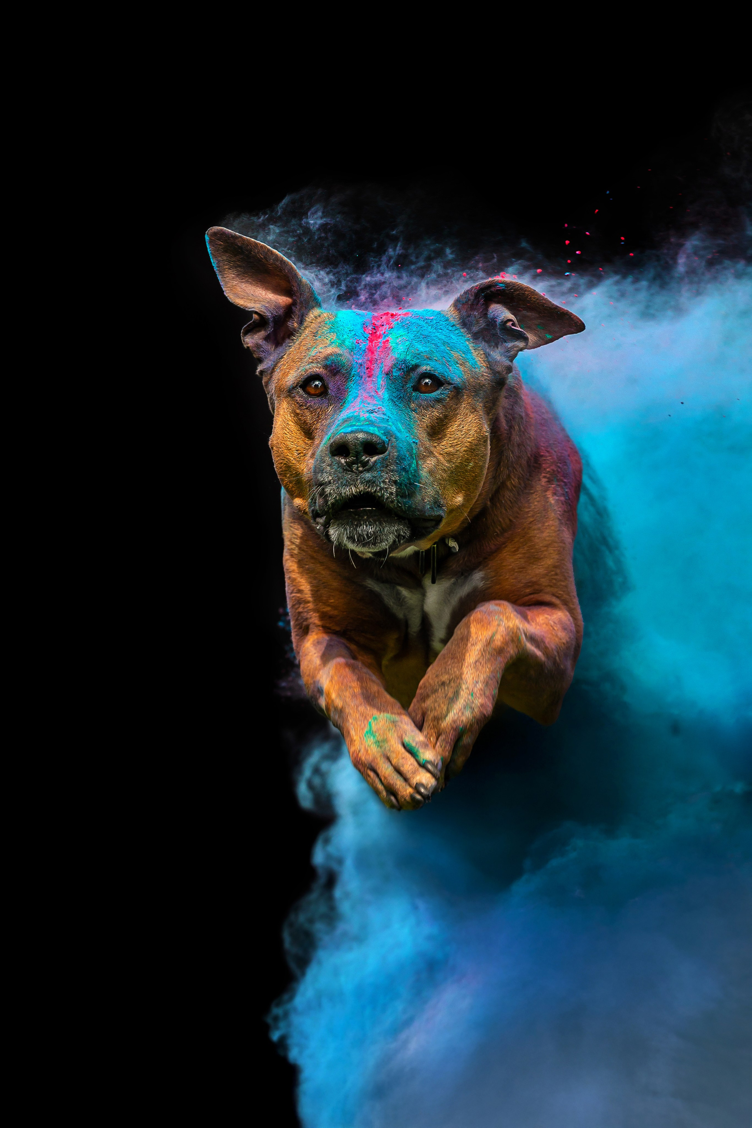 Батлер и Кэти