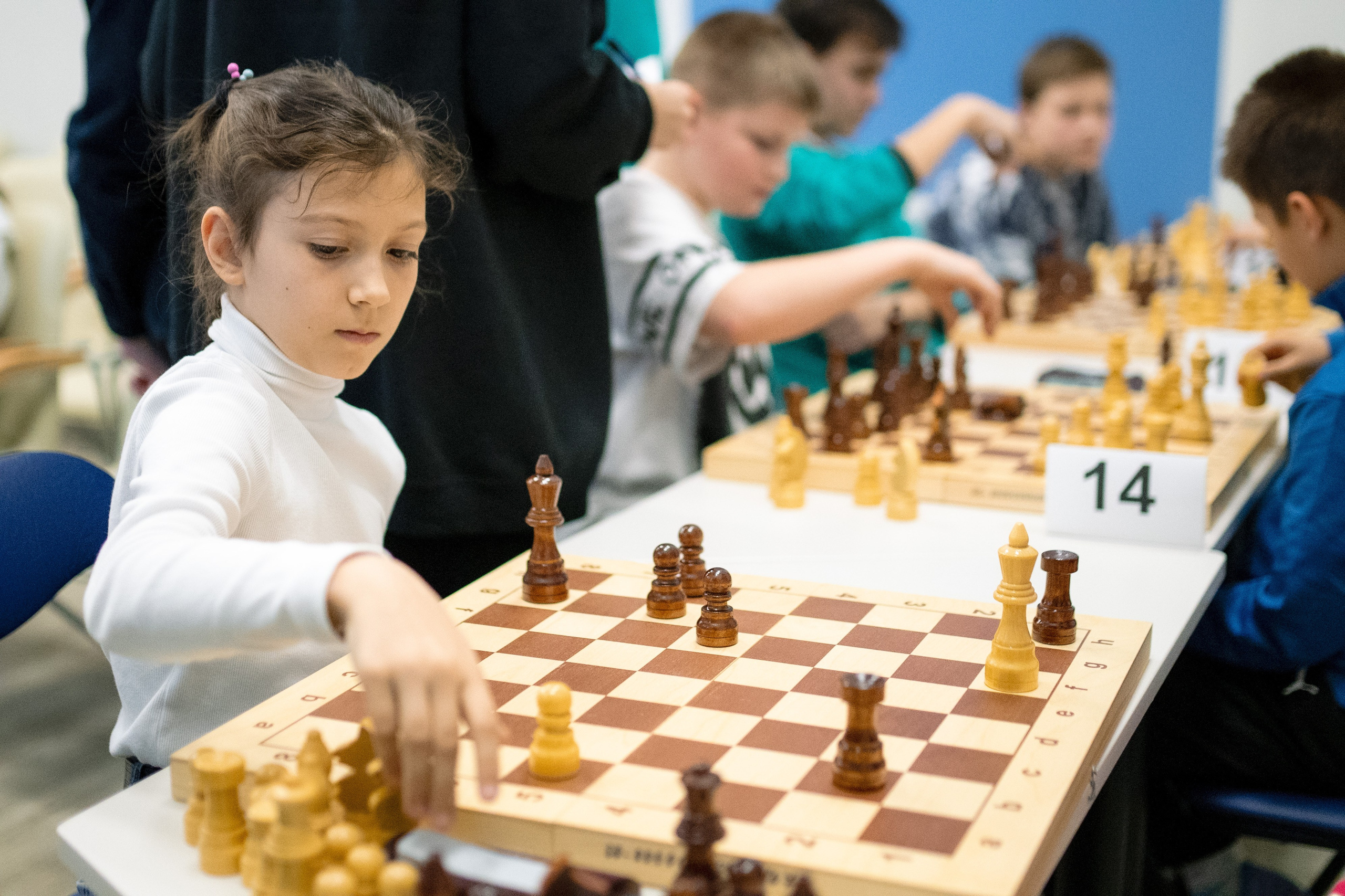 Шахматный турнир 14/12/24. Фотограф в Краснодаре Алена Горбунова