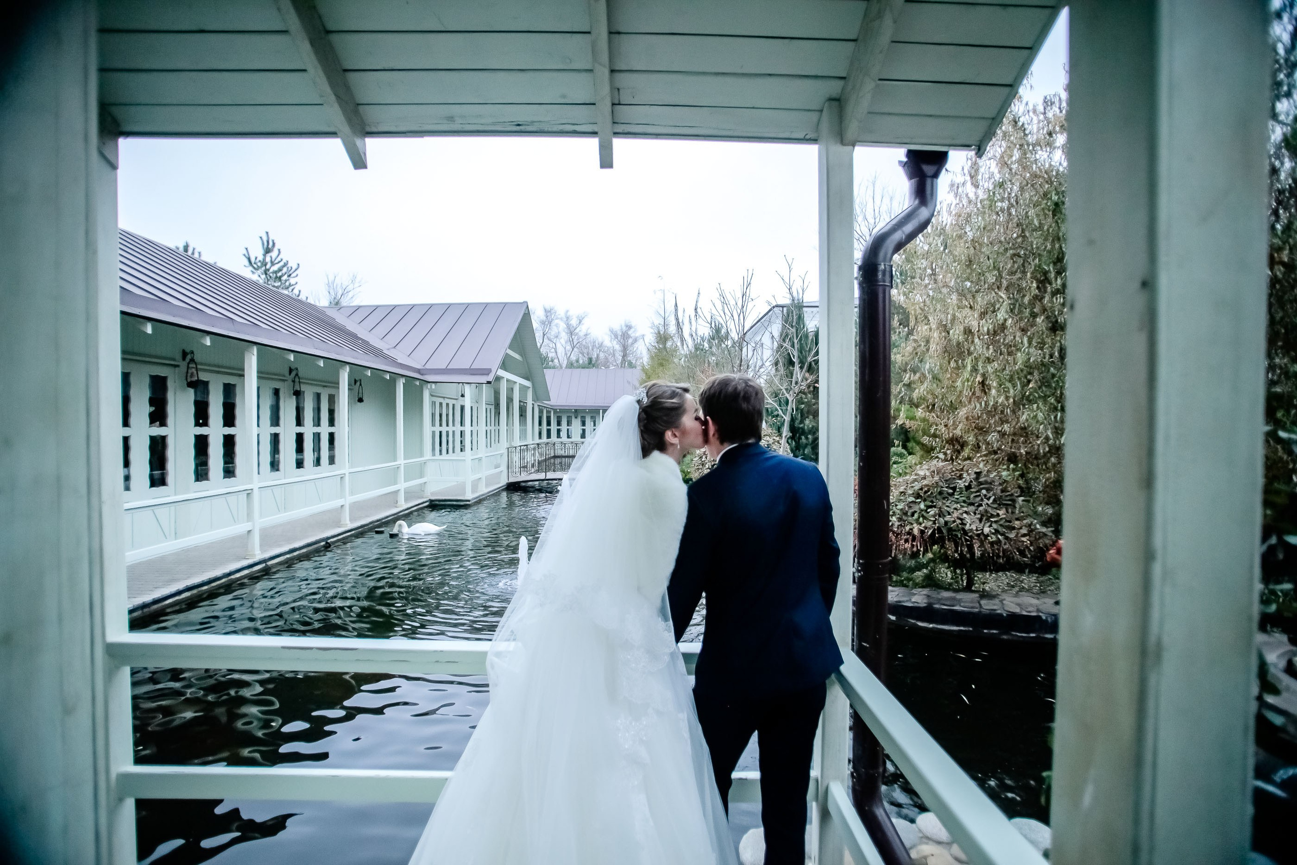 Прогулка/Walk. Максим Матвийченко и Виктория Басова профессионалы своего дела