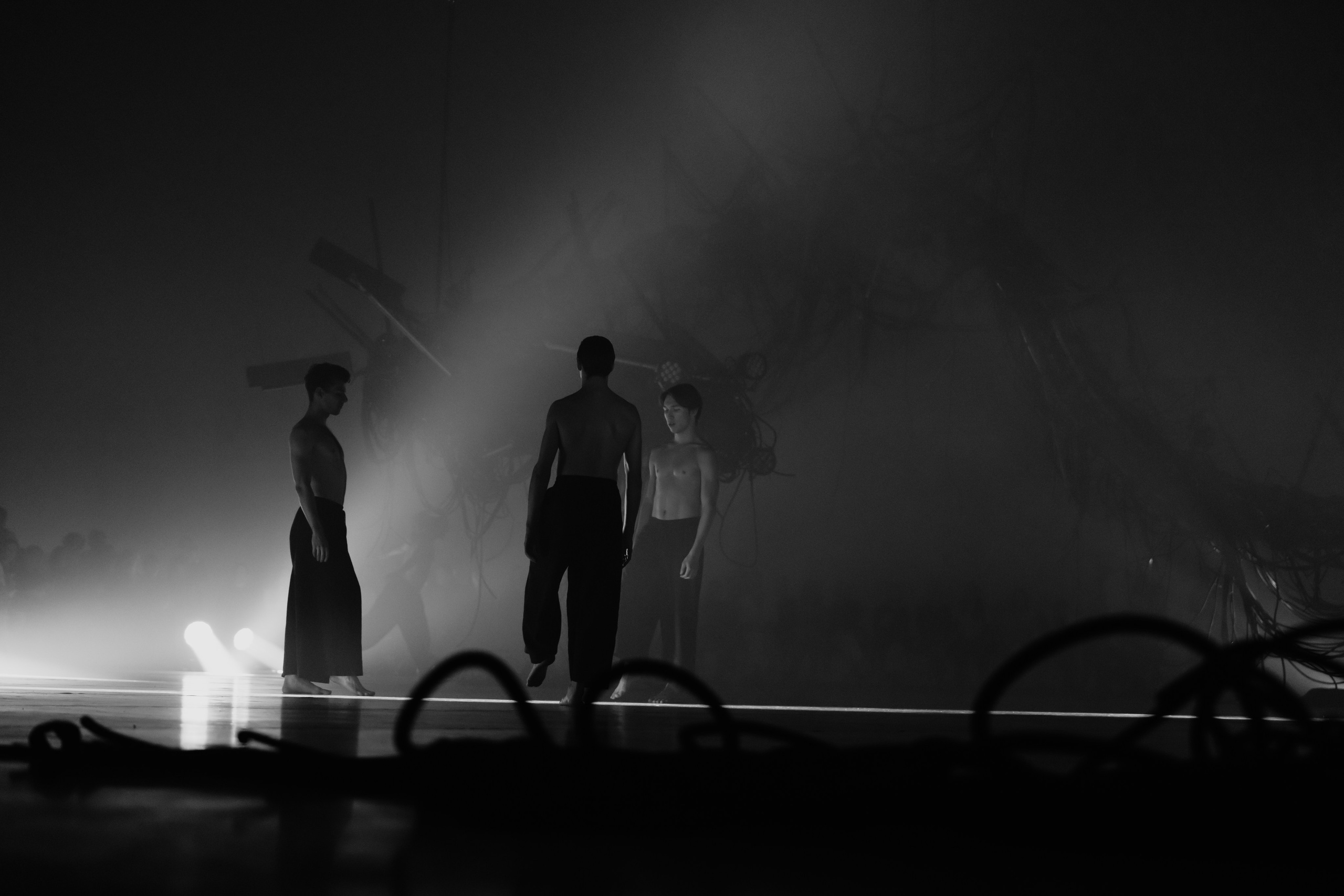 PERFORMA, The Hour of the Horse. @tomrus: Рустам Шагиморданов — фотограф