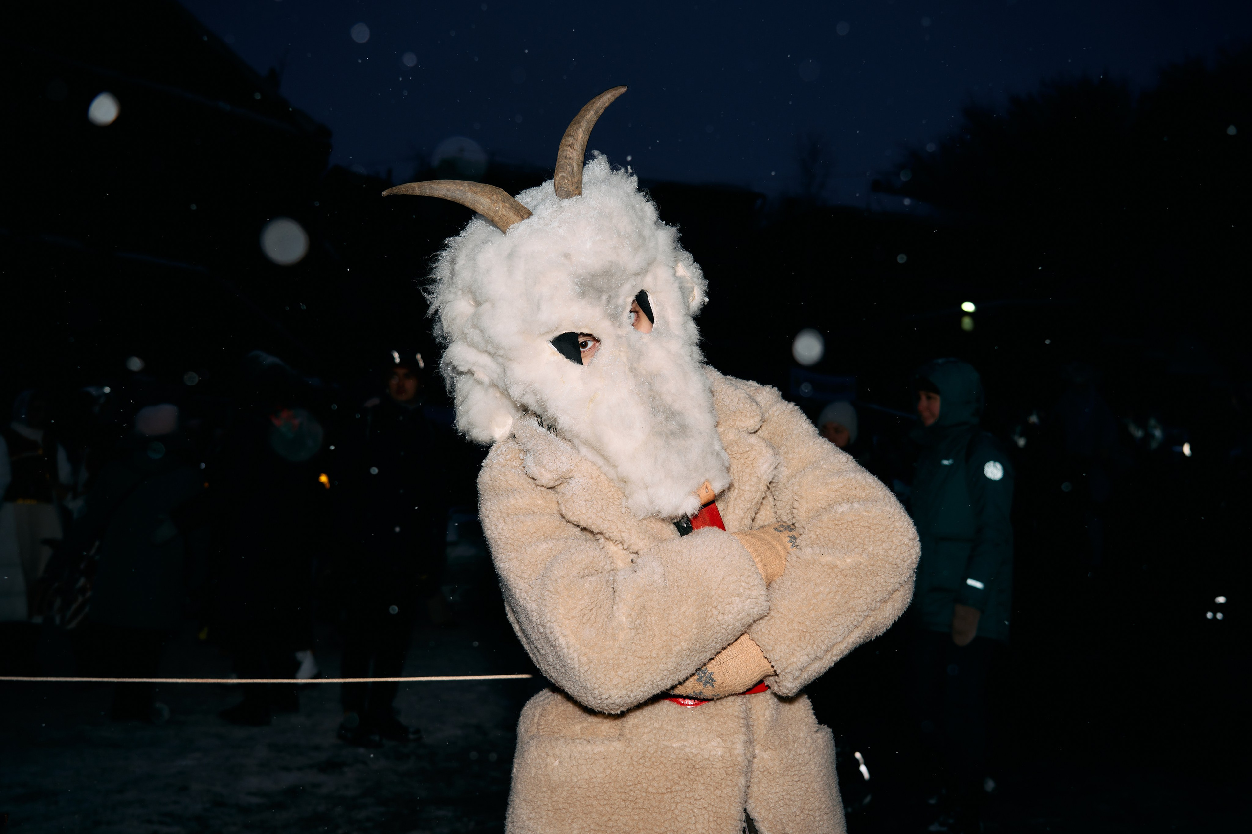 С медведем по соседям. Фотограф