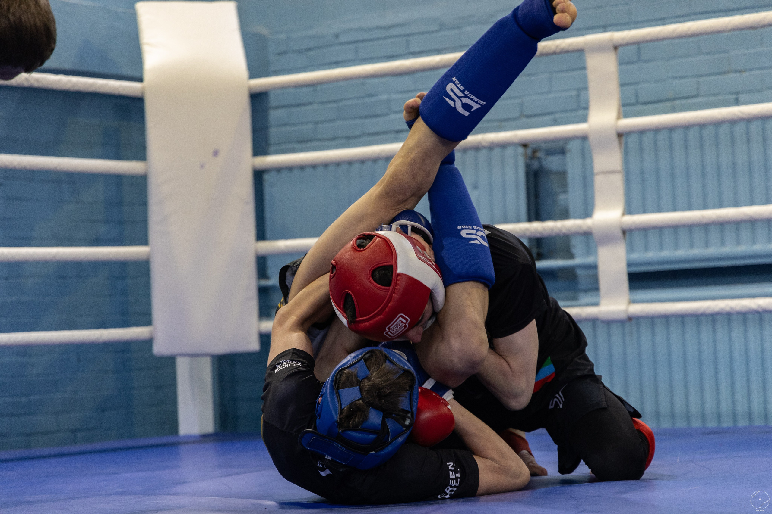 Соревнования MMA. Фотограф Александр Чистяков