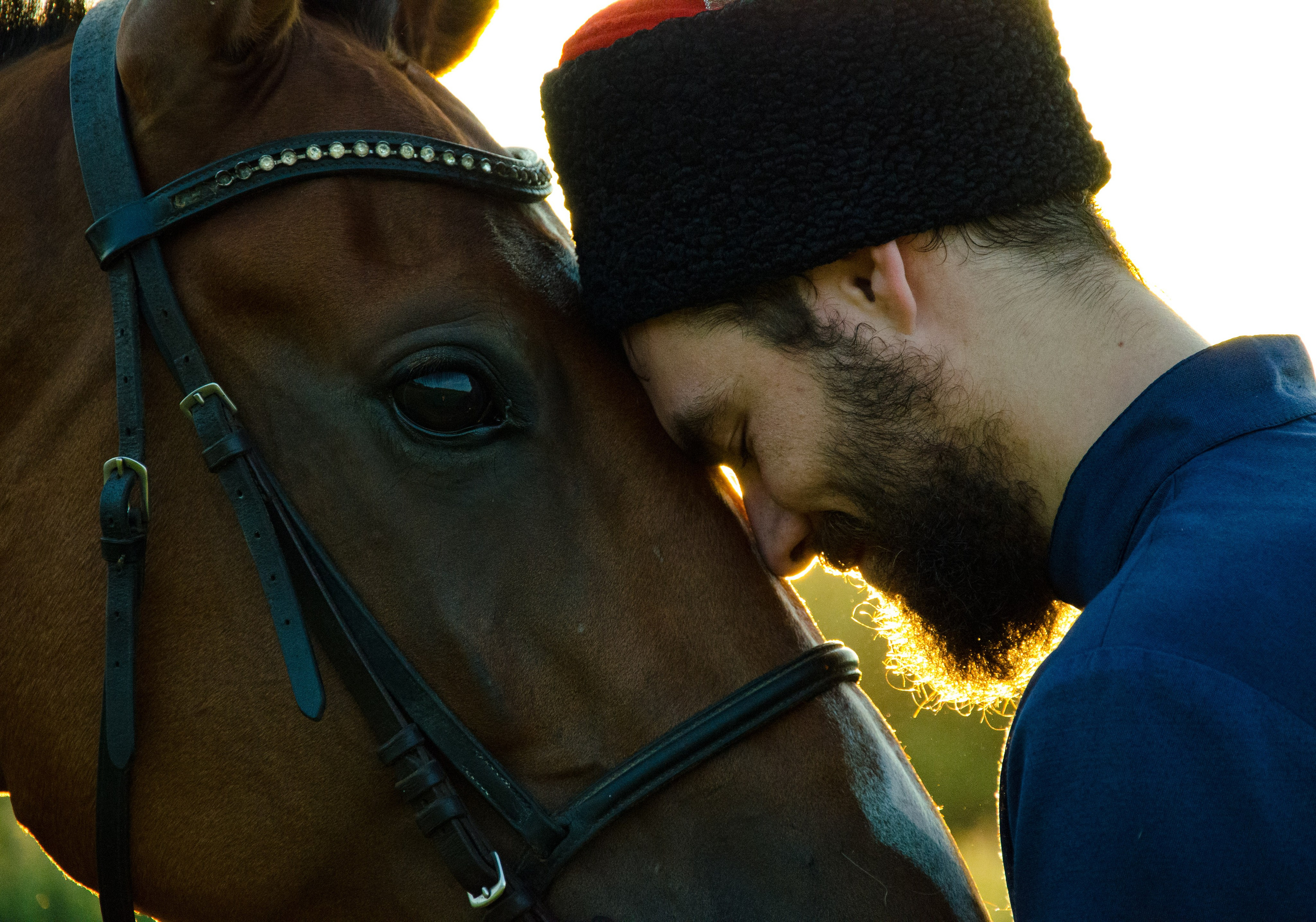 Кавалер. Мультифотограф Виктория Лихоманова