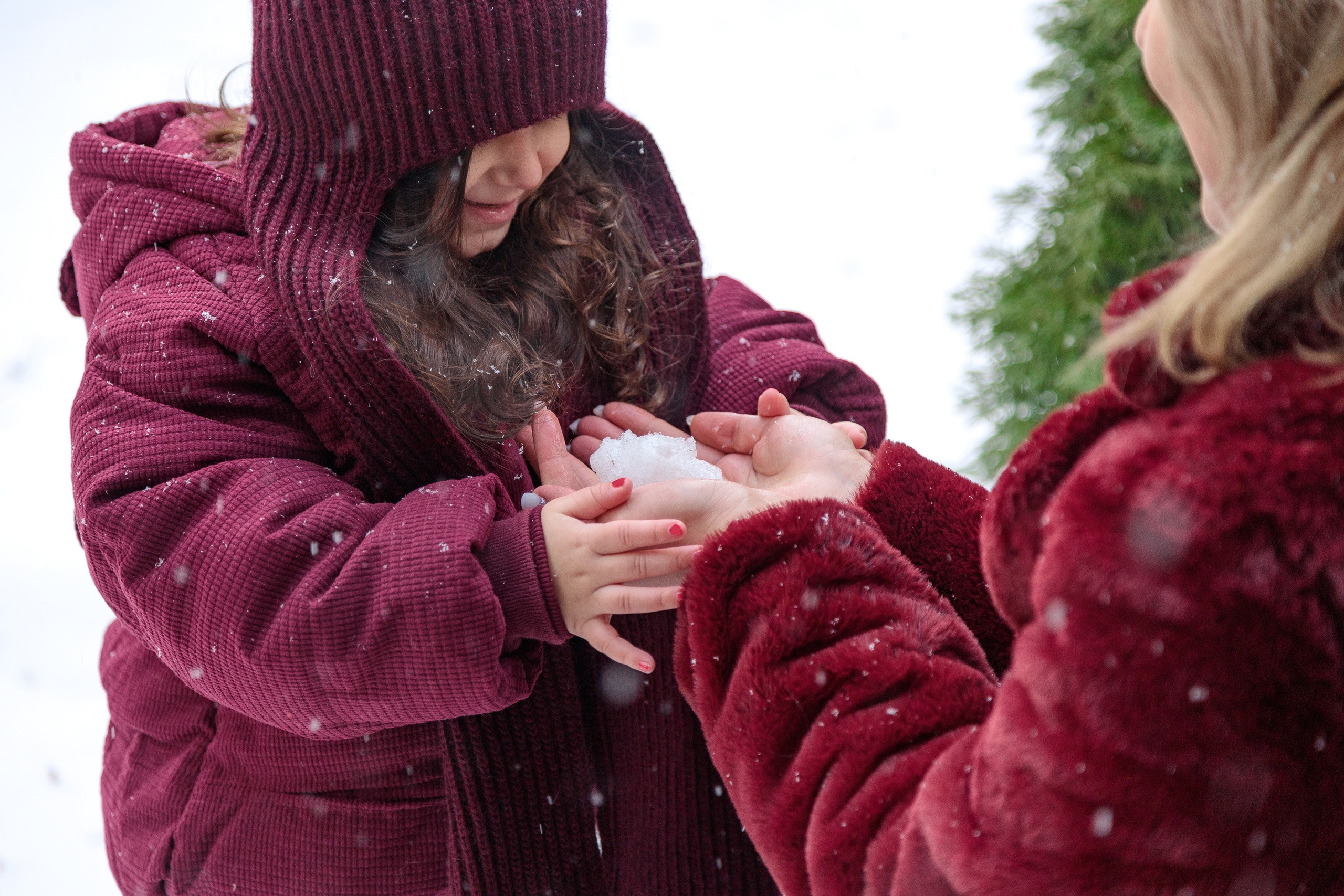 Семейная зимняя фотопрогулка на природе
