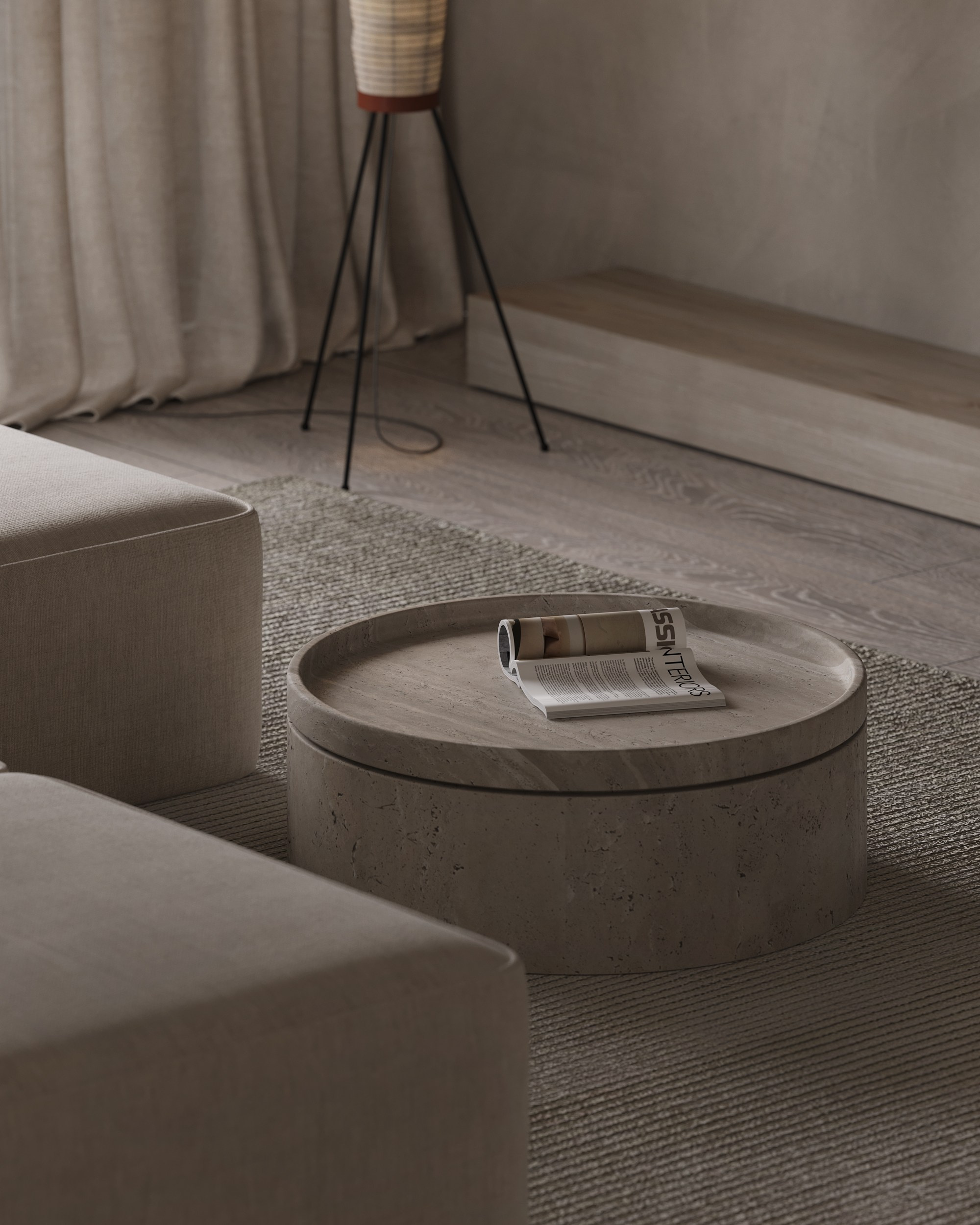 House on the coast. Interior visualization