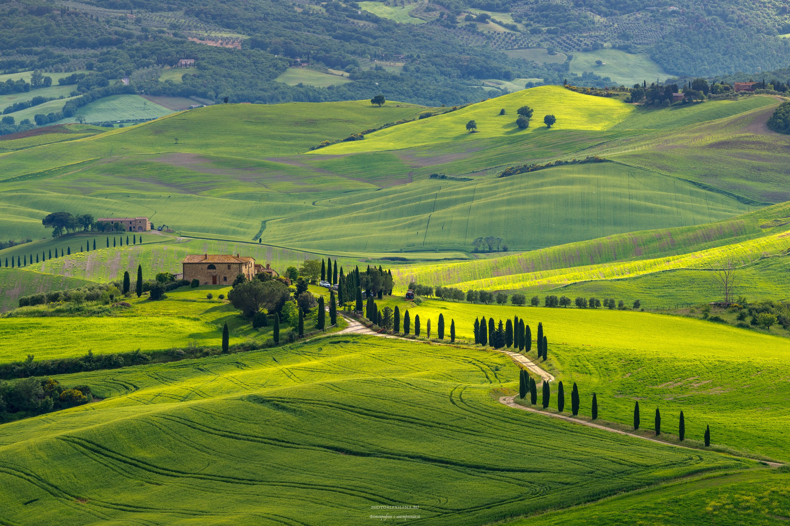 Великолепная Тоскана. Авторские стильные фотокартины