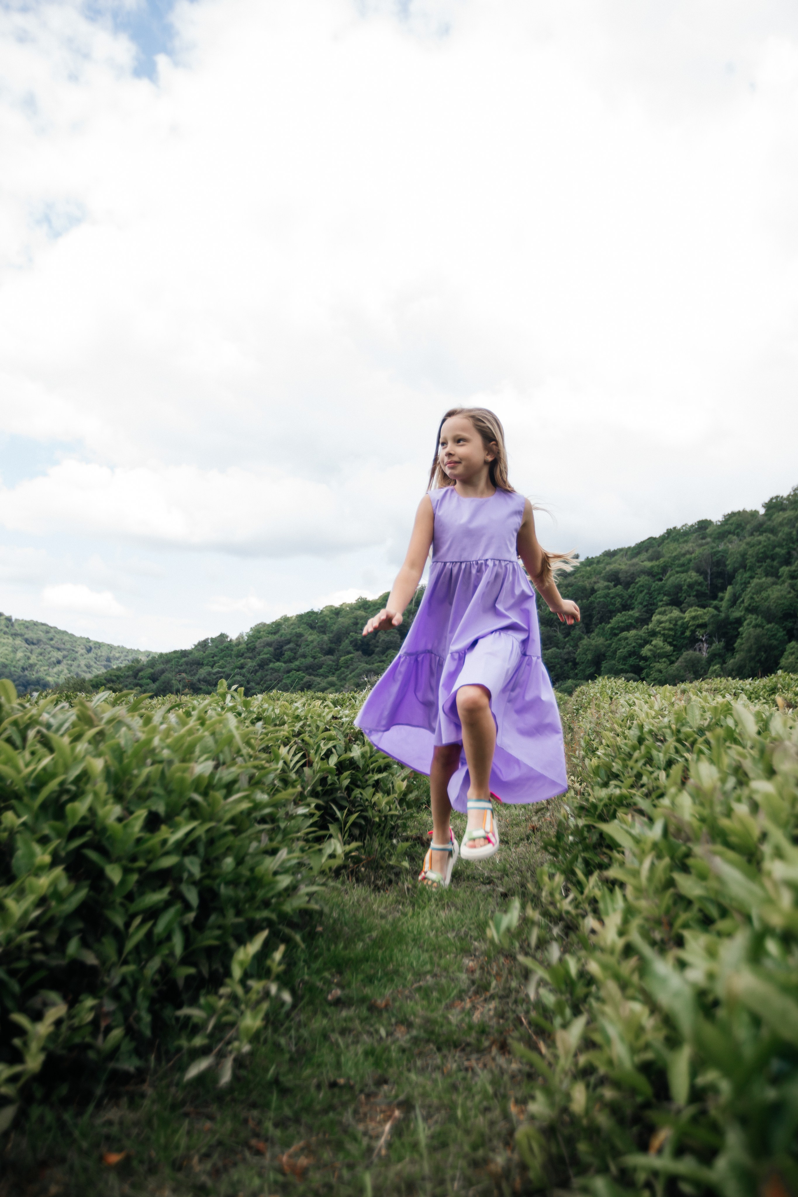 Tea plantation. Efimova Model Agency