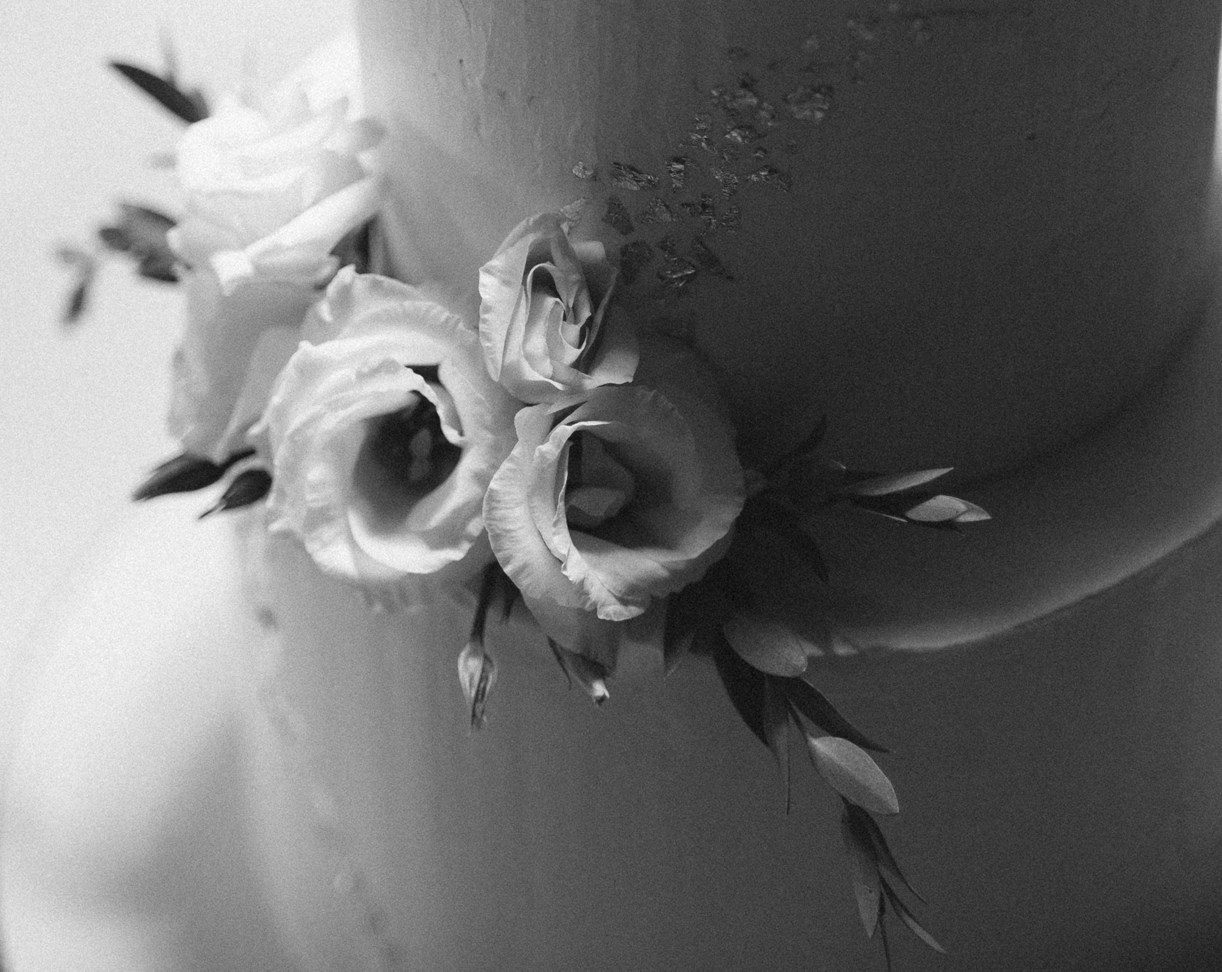 Даша и Александр. Коммерческий фотограф в Брянске Ольга Вороная