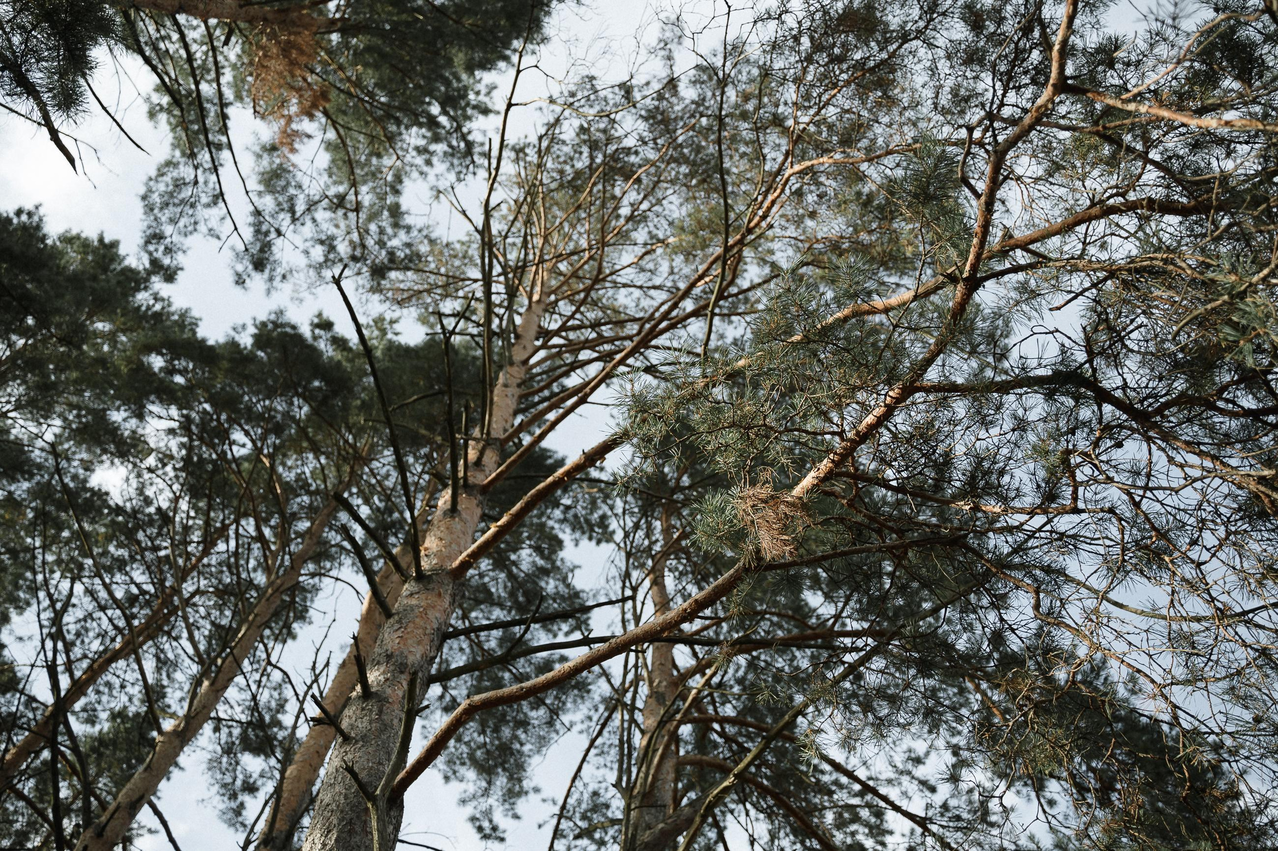 Саша и Паша. Коммерческий фотограф в Брянске Ольга Вороная