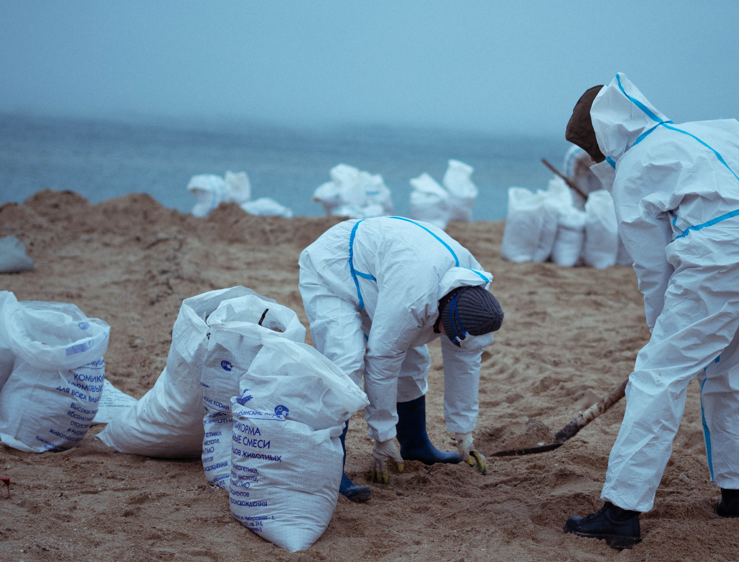 Разлив мазута в Керченском проливе. Фотограф Тбилиси / Photographer Tbilisi