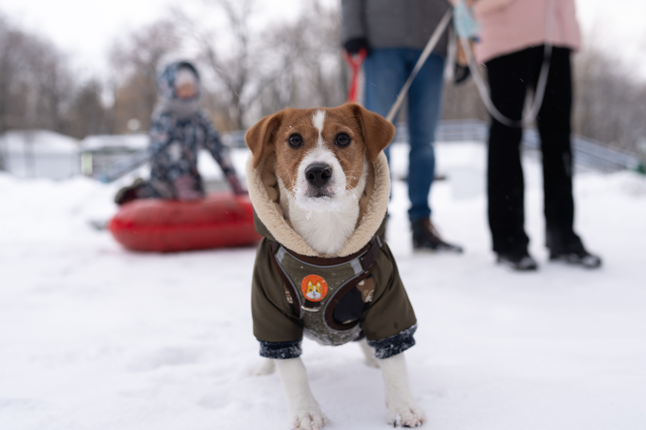 Семья Дикуниных. Фотограф в Самаре Иван Булатов