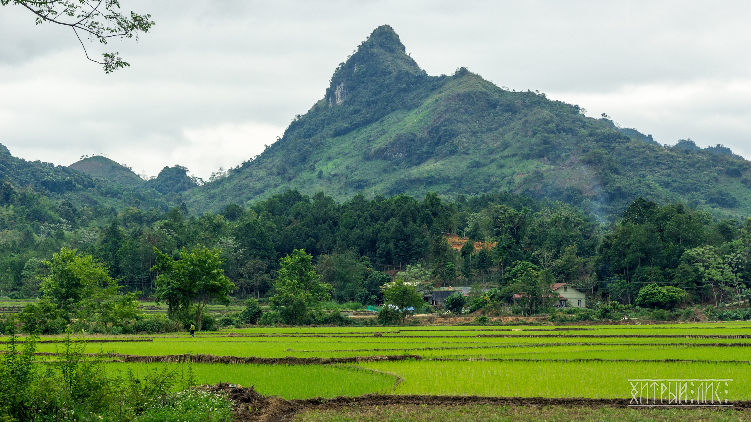 Вьетнам. Фотограф-путешественник Самойлов Максим «Sly Fox»