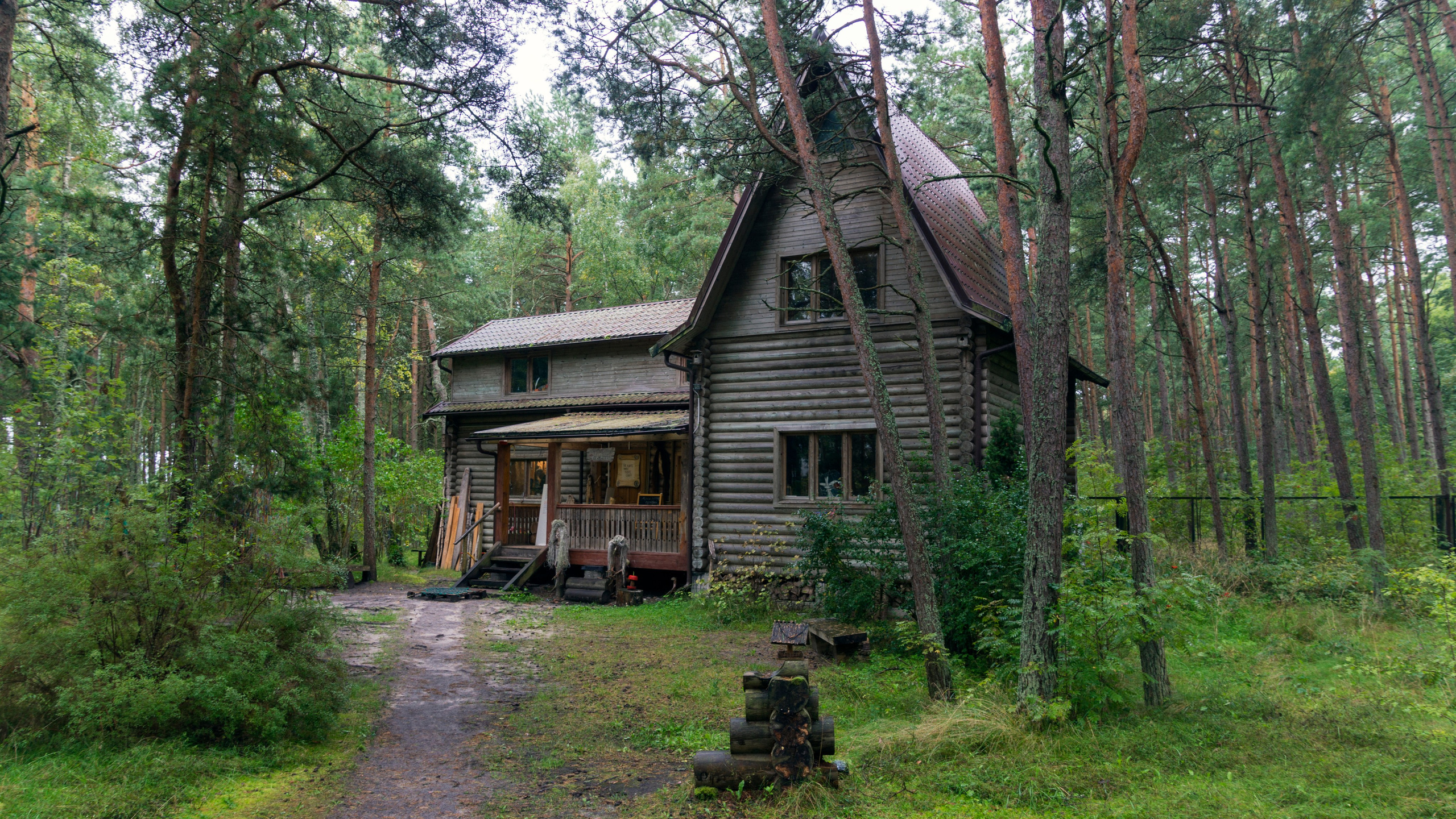Куршская коса. Фотограф-путешественник Самойлов Максим «Sly Fox»