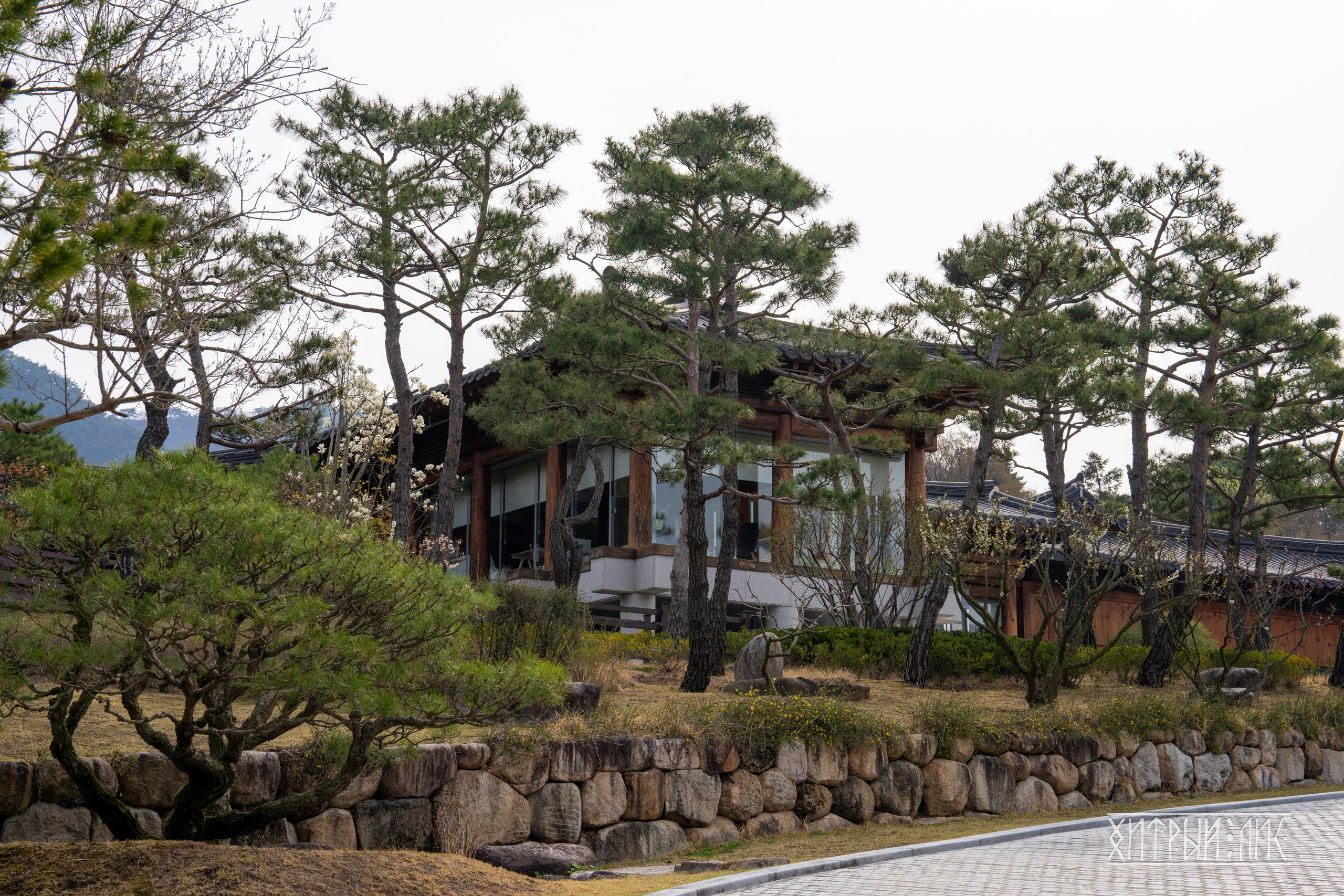 Южная Корея. Фотограф-путешественник Самойлов Максим «Sly Fox»