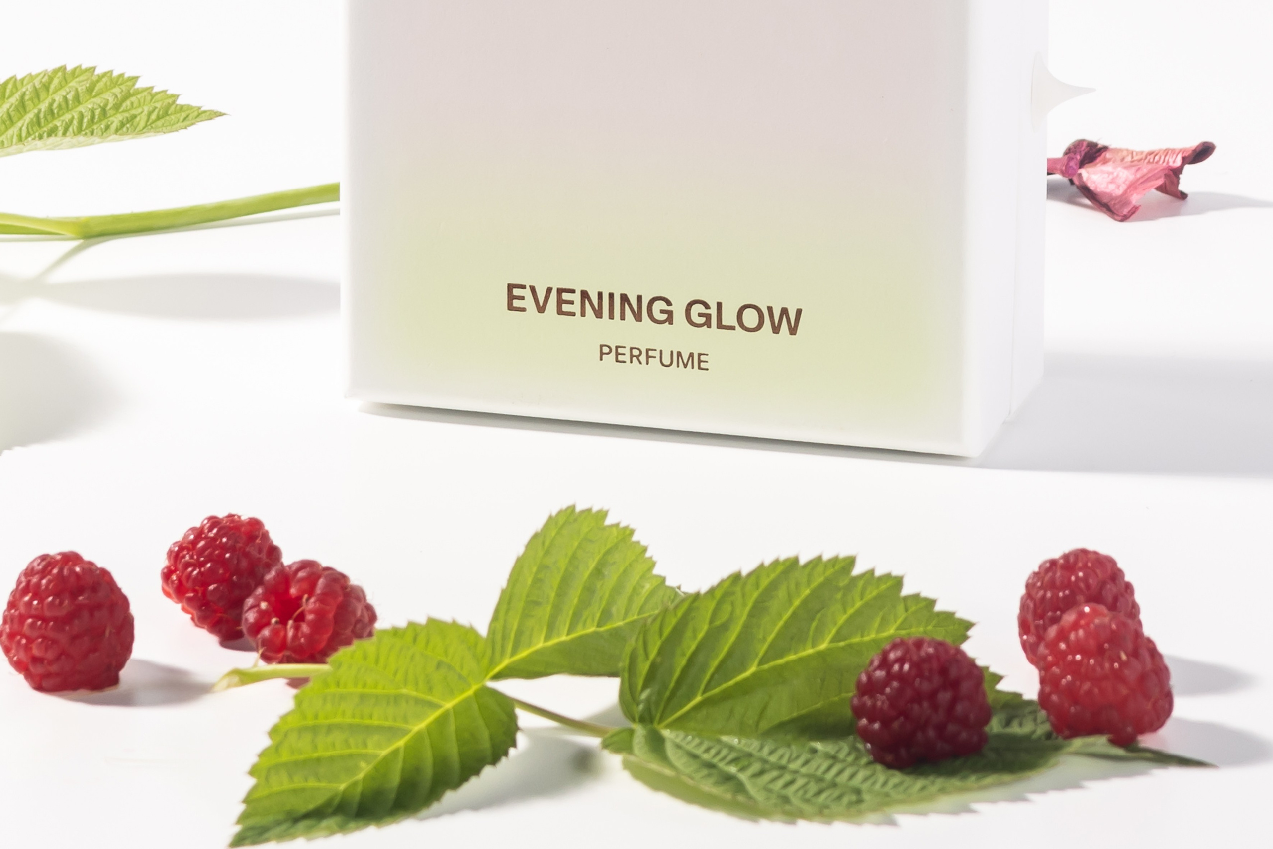 Tamburins. Фотограф Диана Белогребень