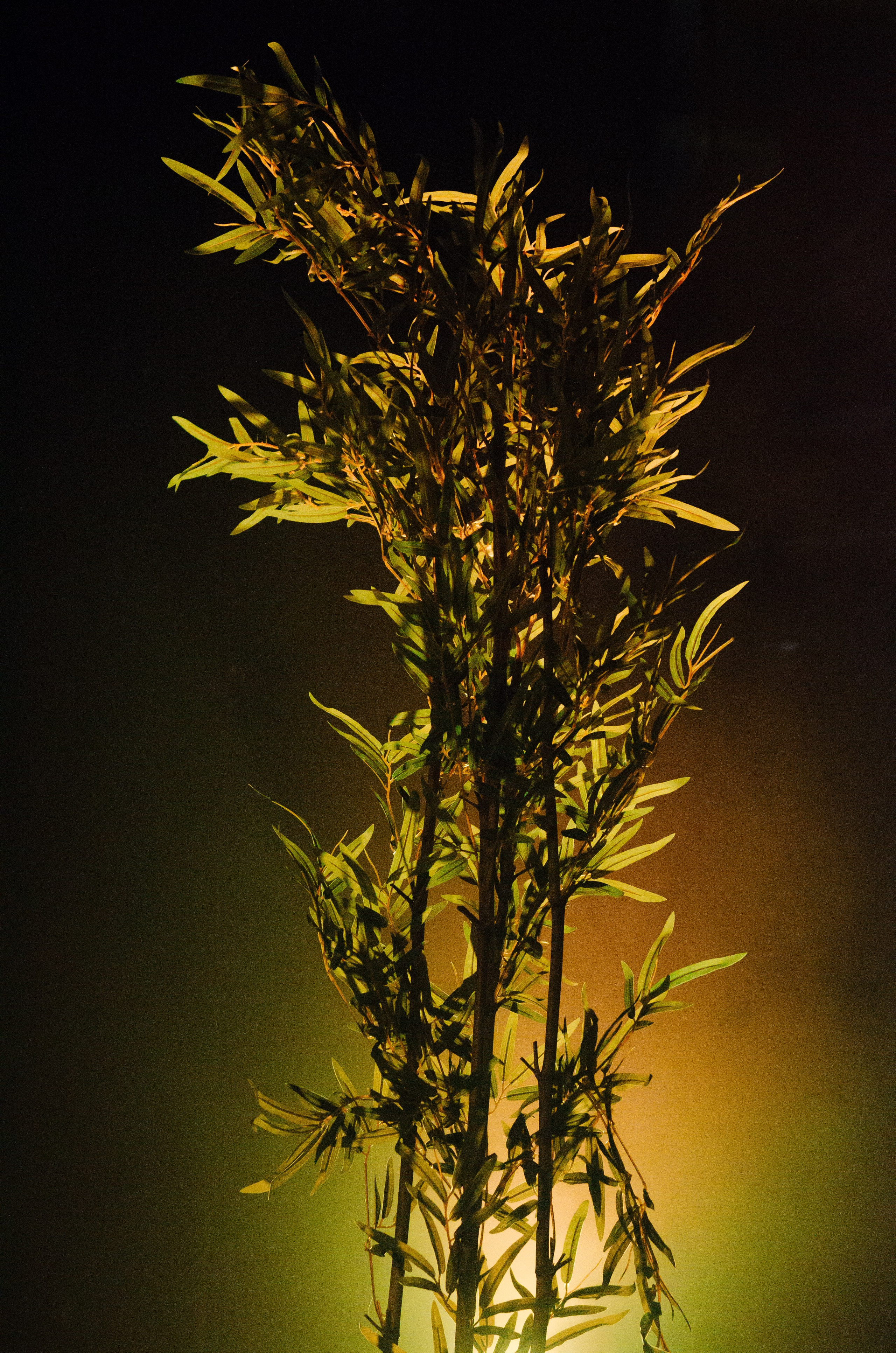 Nobody.one. Фотограф Валерия Пэун