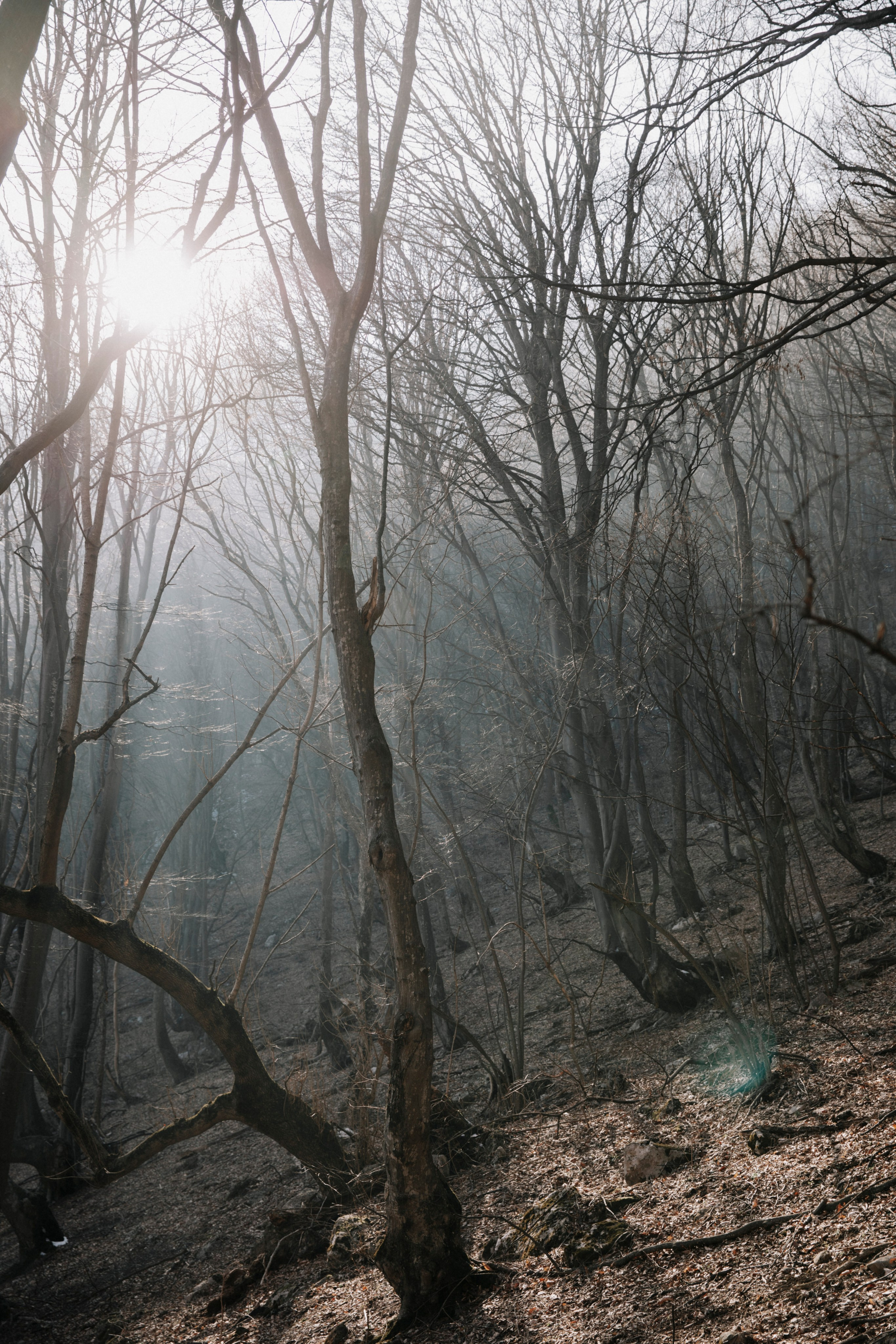 Осетия. Фетхуз. Треккинг в гору