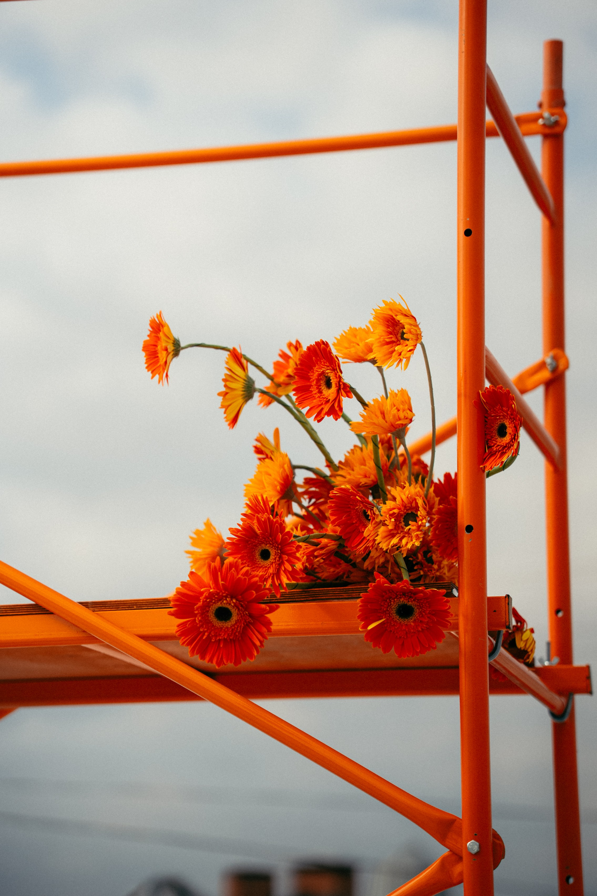 Любовь на высоте /Полный день (сокращено). Семейный и портретный фотограф в Саратове Сахарова Маша