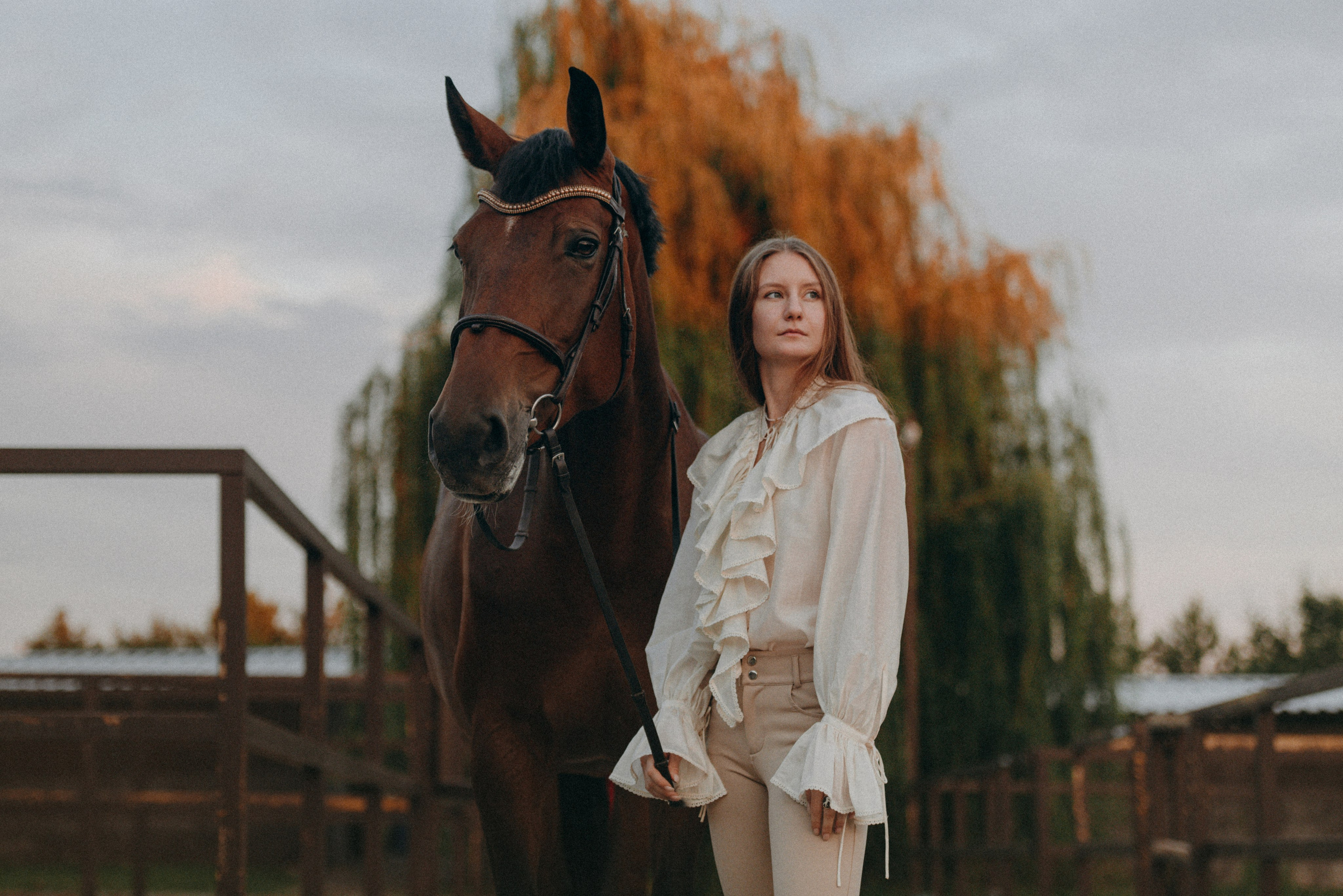 Соня и Лоли Поп. MariaGohri — Конный фотограф, анималист, Рязань