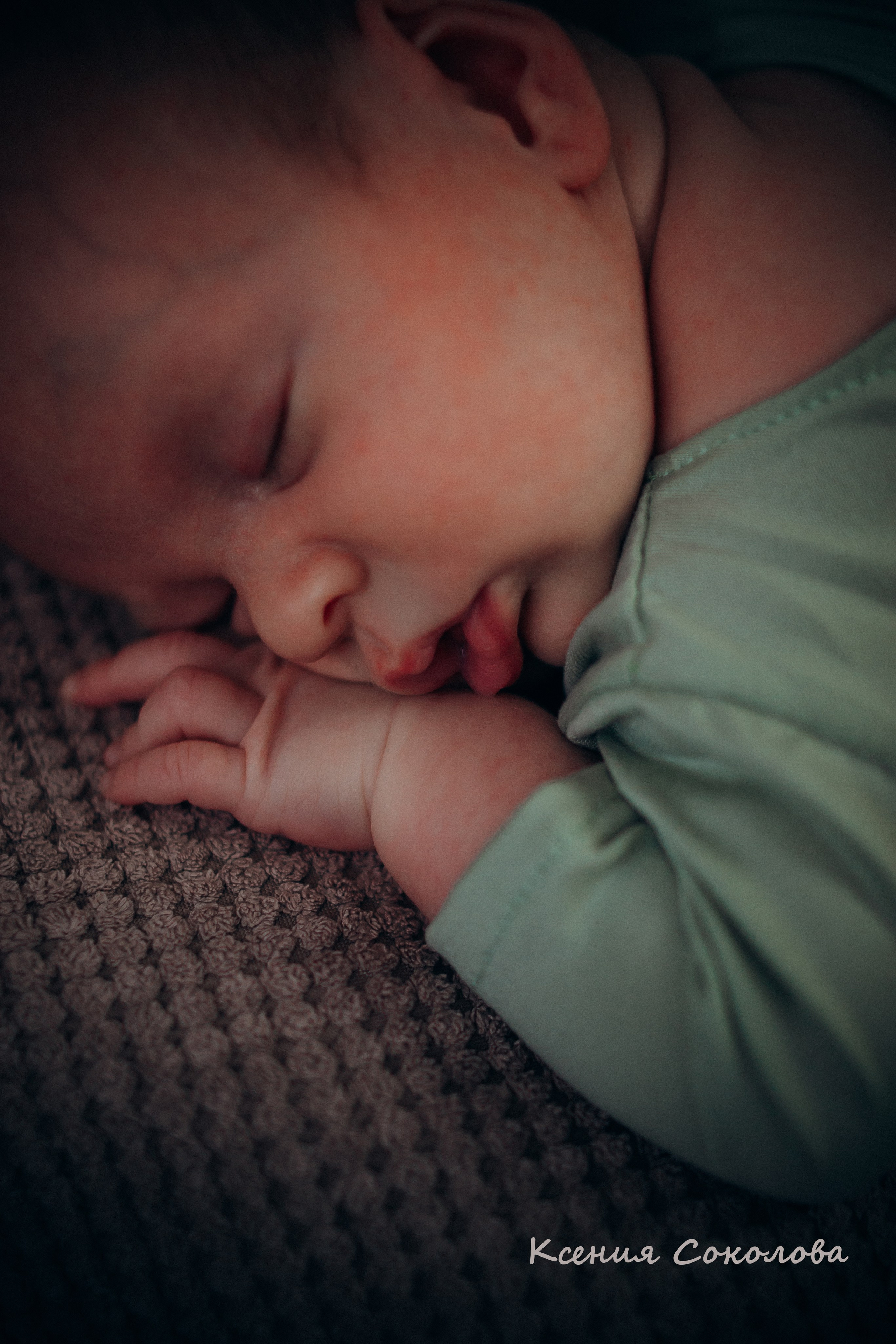 alt="семейный фотограф alt="фотограф новорожденных alt="фотосессия новорожденного alt="newborn alt="ньюборн