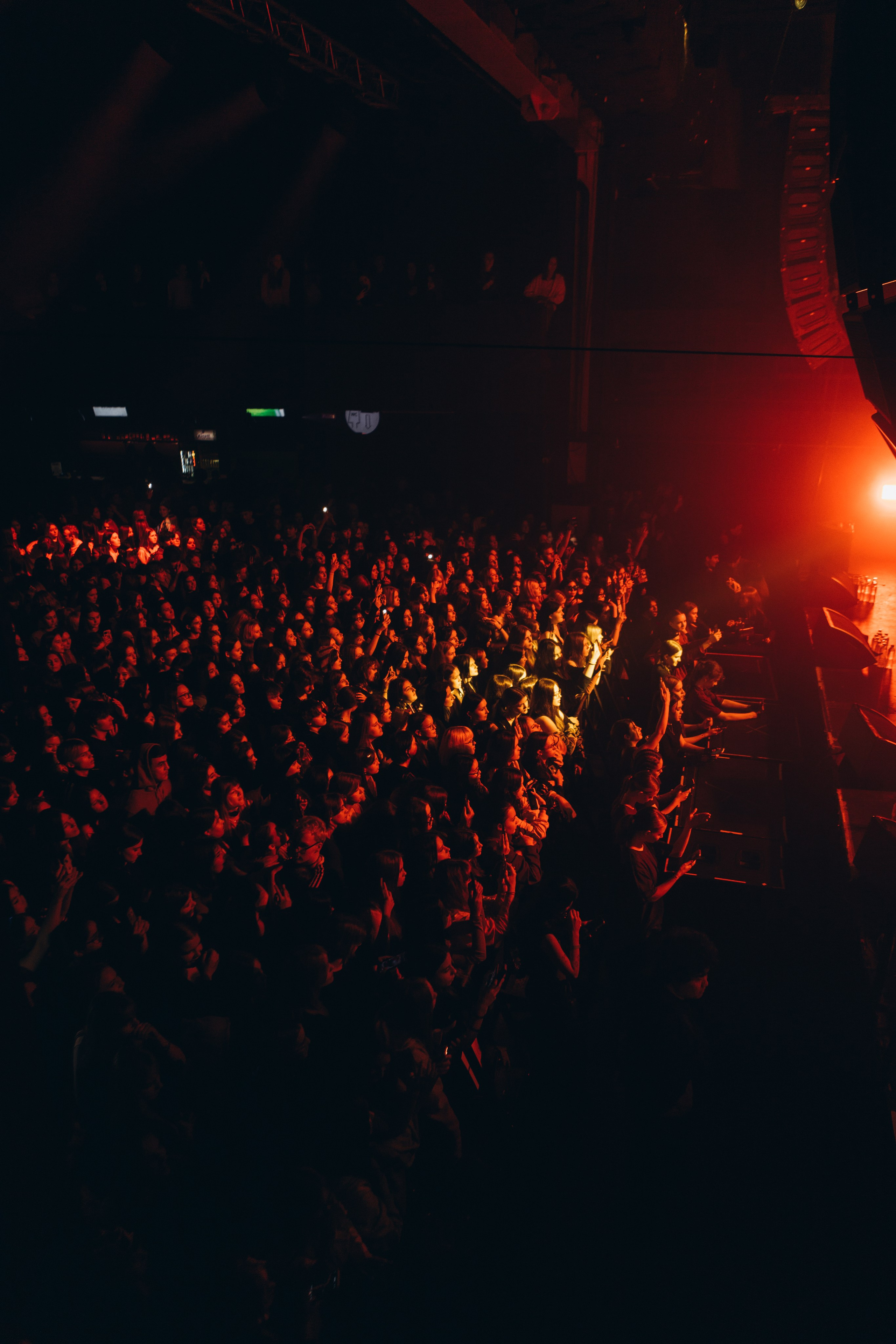 Stopban & Danonflexin & Dilblin. Фотограф Санкт-Петербурга