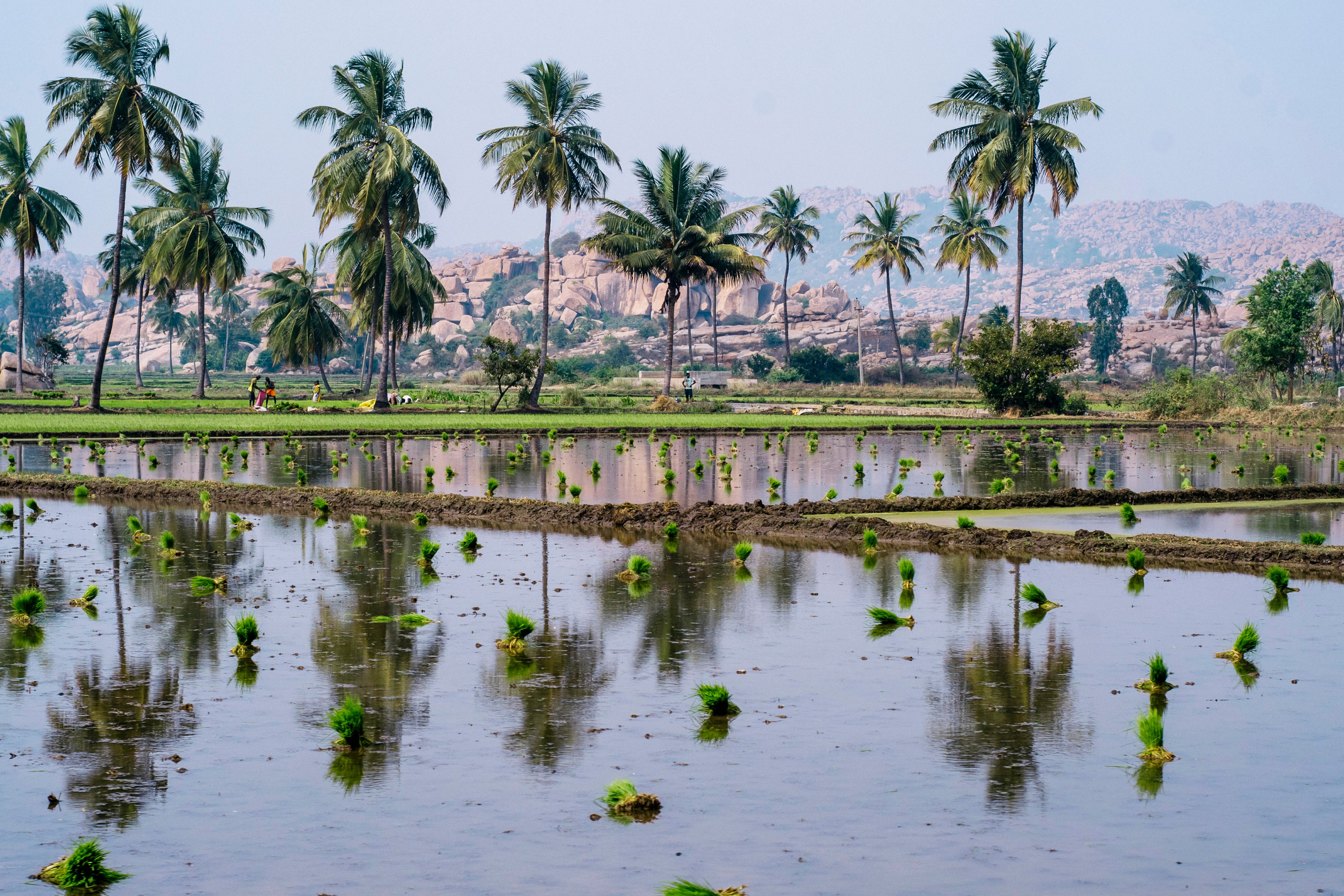Hampi street. Iraogo
