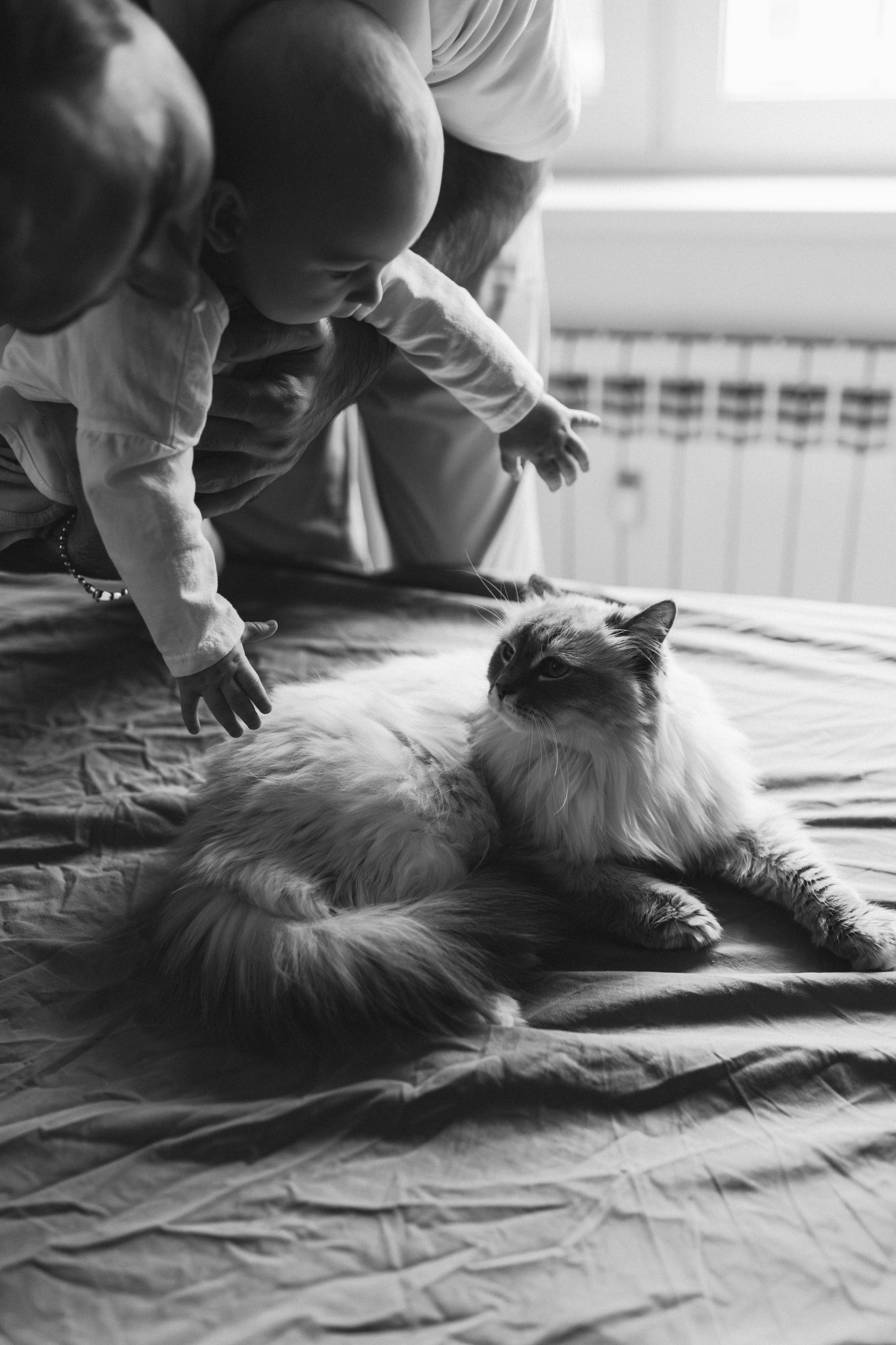 Любовь, читаемая без слов. Семейный фотограф в Москве и МО Маша Забудская